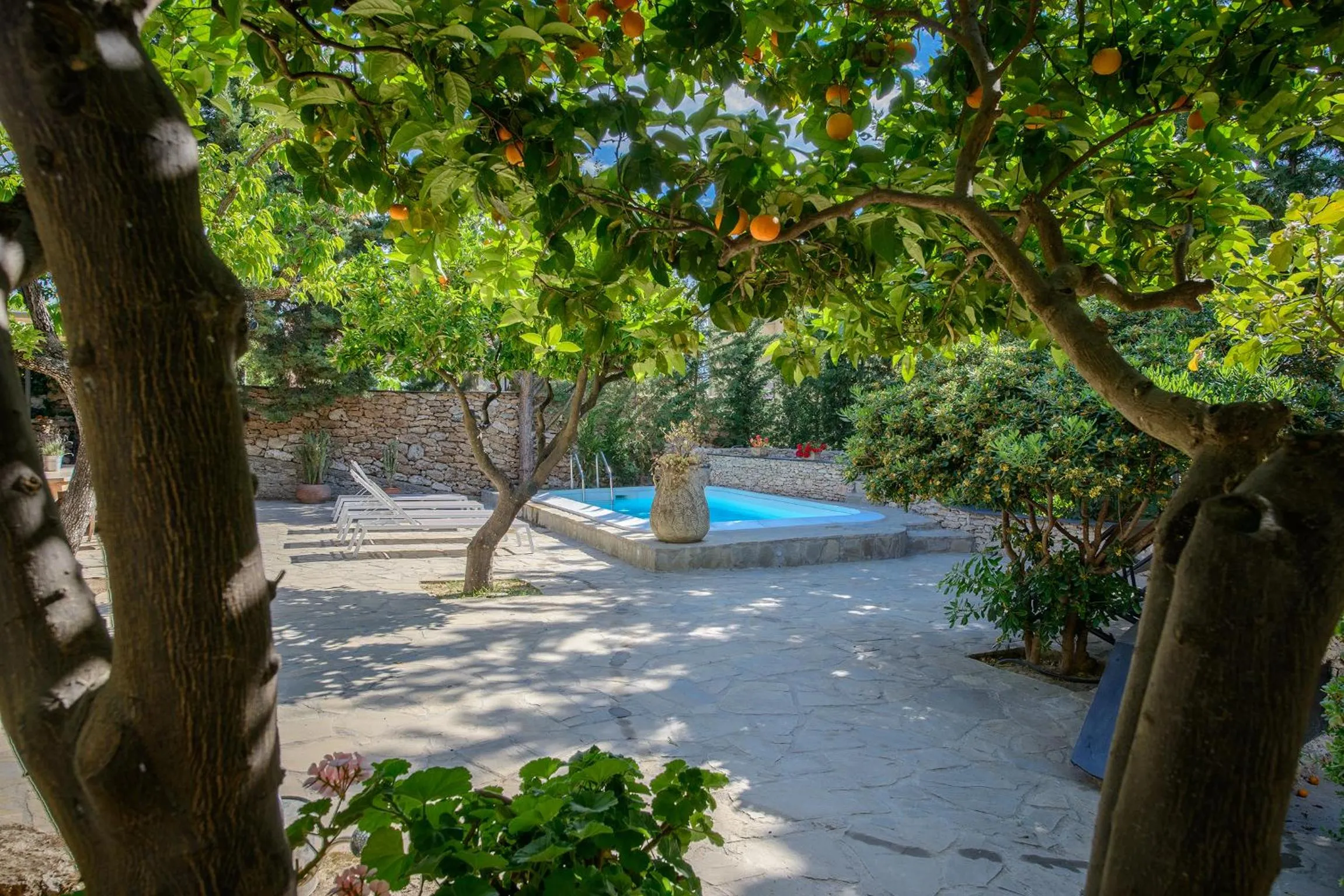 Swimming pool in Gli Aranci
