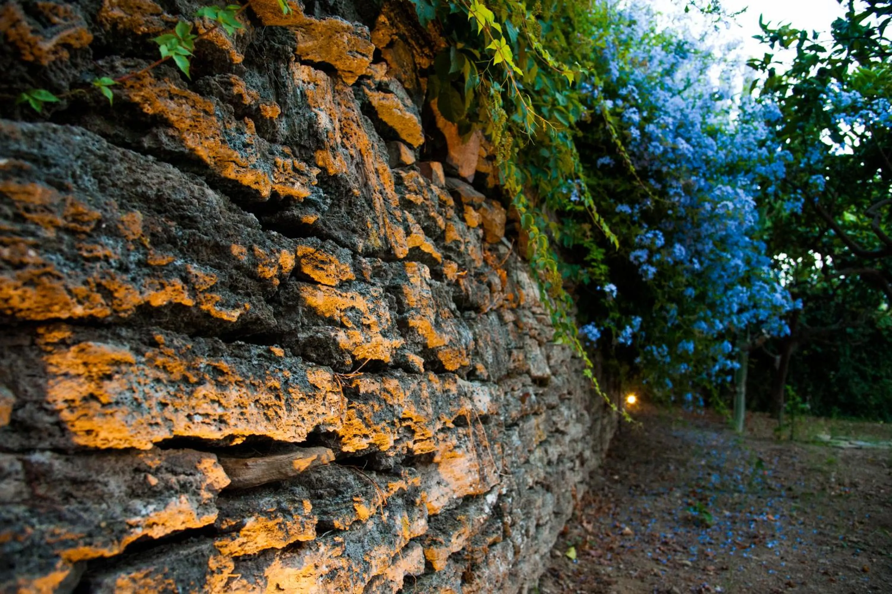 Garden in Gli Aranci