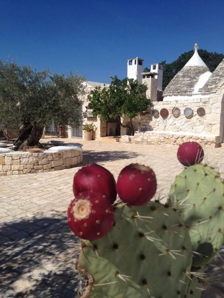 Property building in Puntebianche B&B