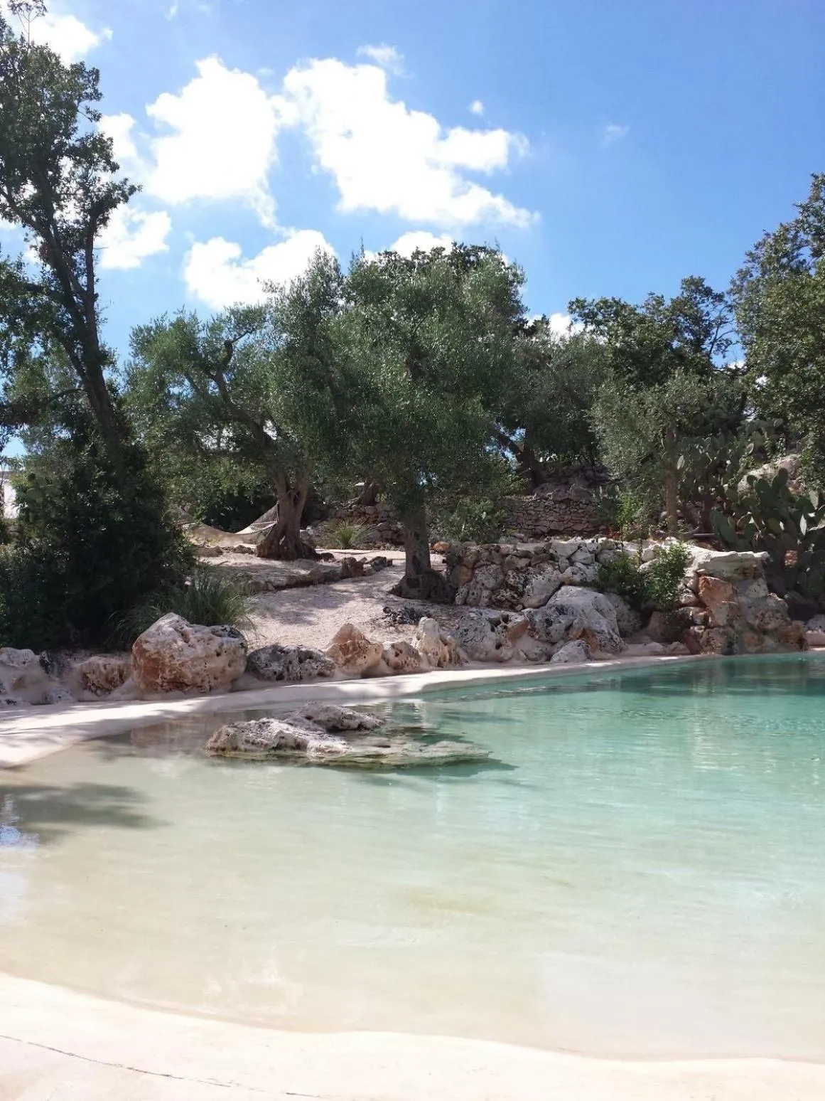 Swimming pool in Puntebianche B&B