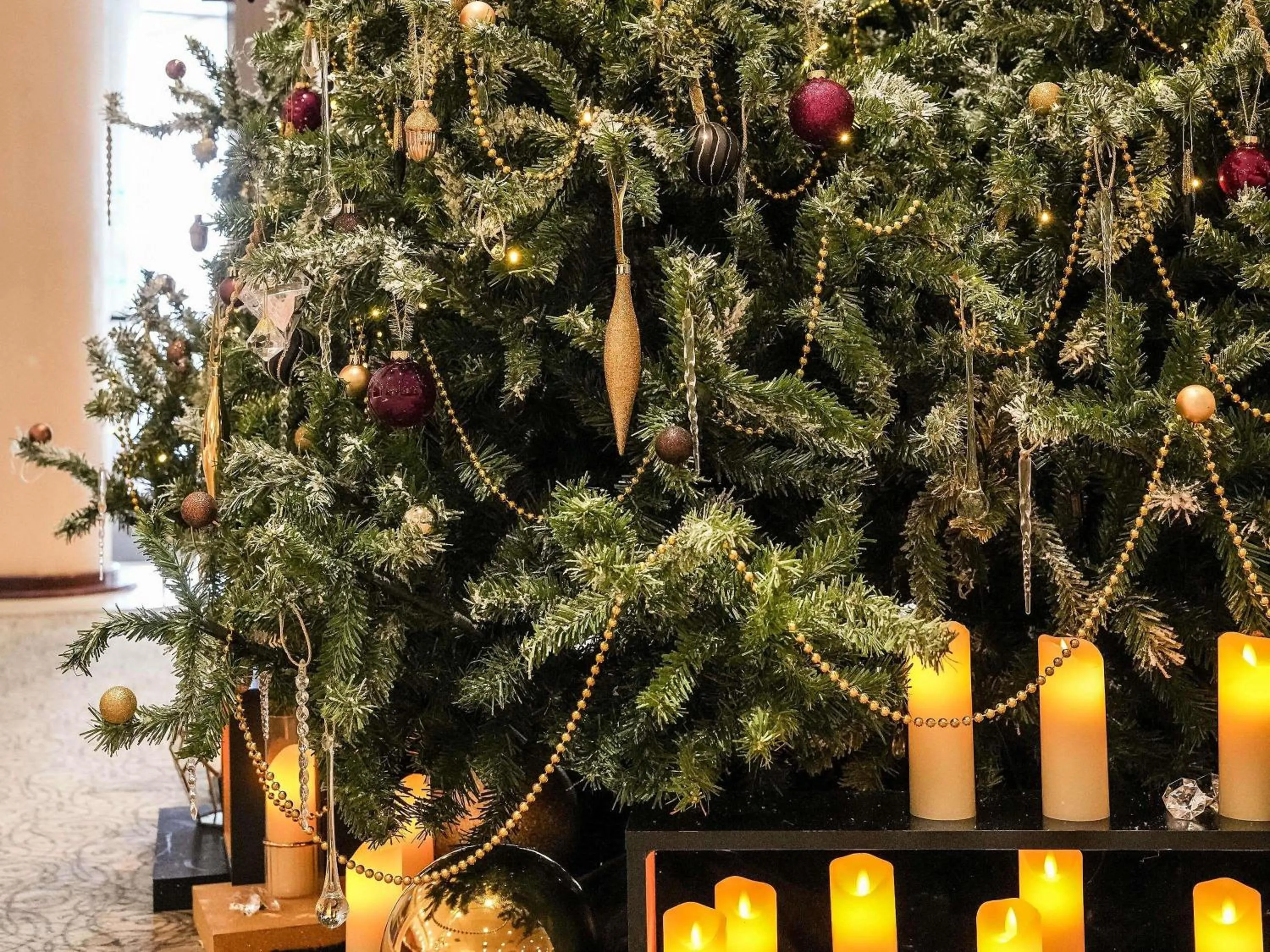 Other in Sofitel Biarritz Le Miramar Thalassa