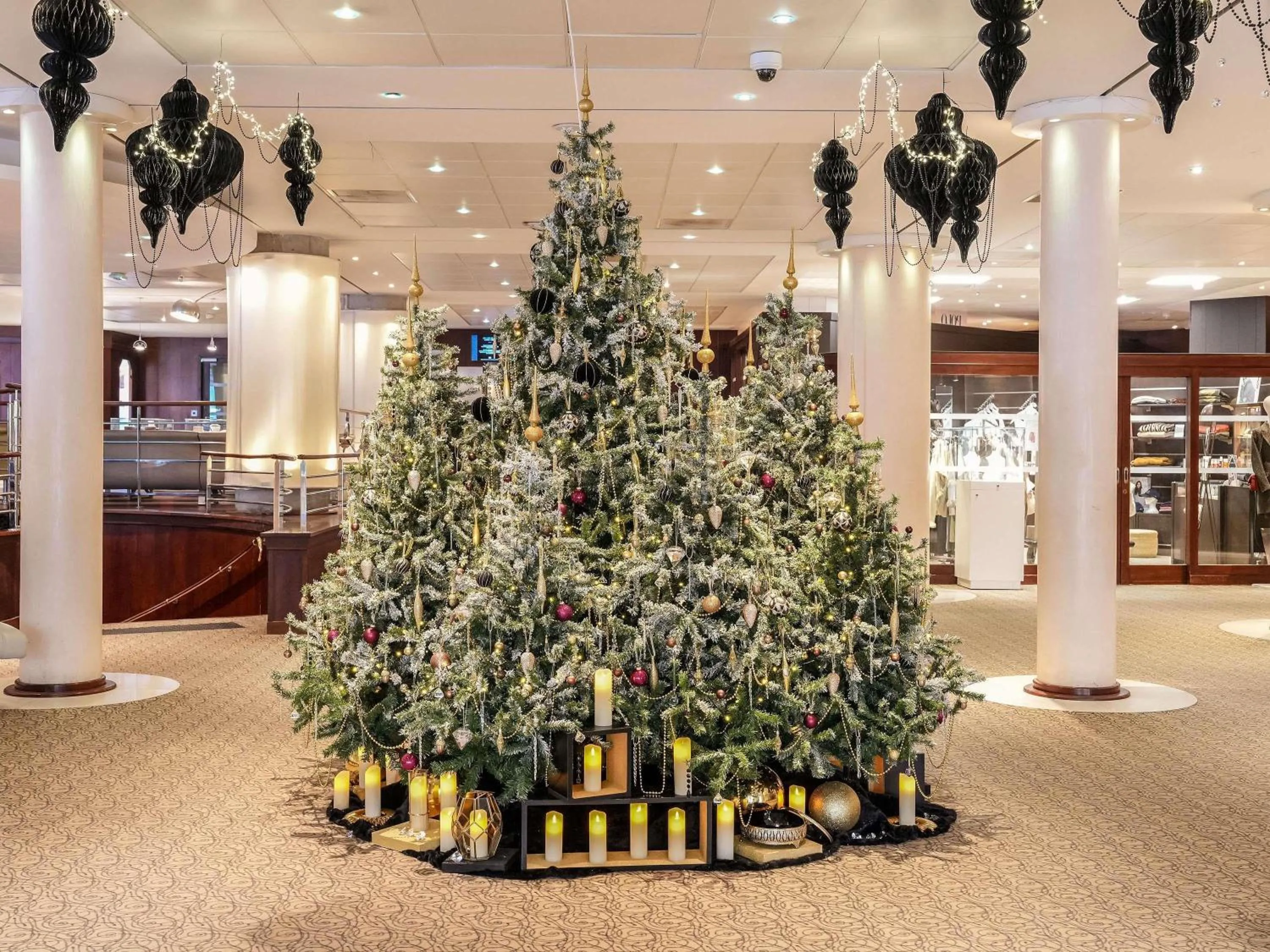 Other in Sofitel Biarritz Le Miramar Thalassa