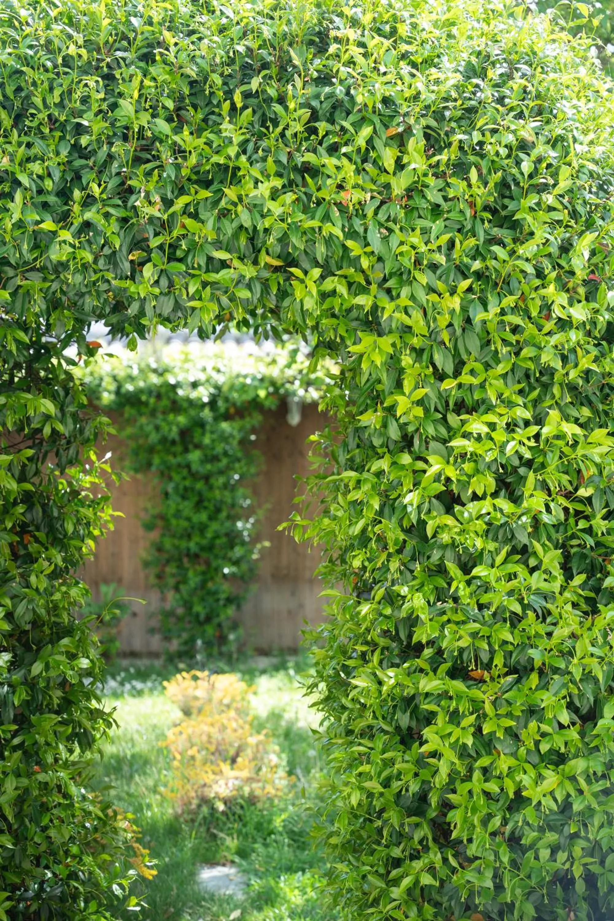 Garden in La Maison Charentonneau