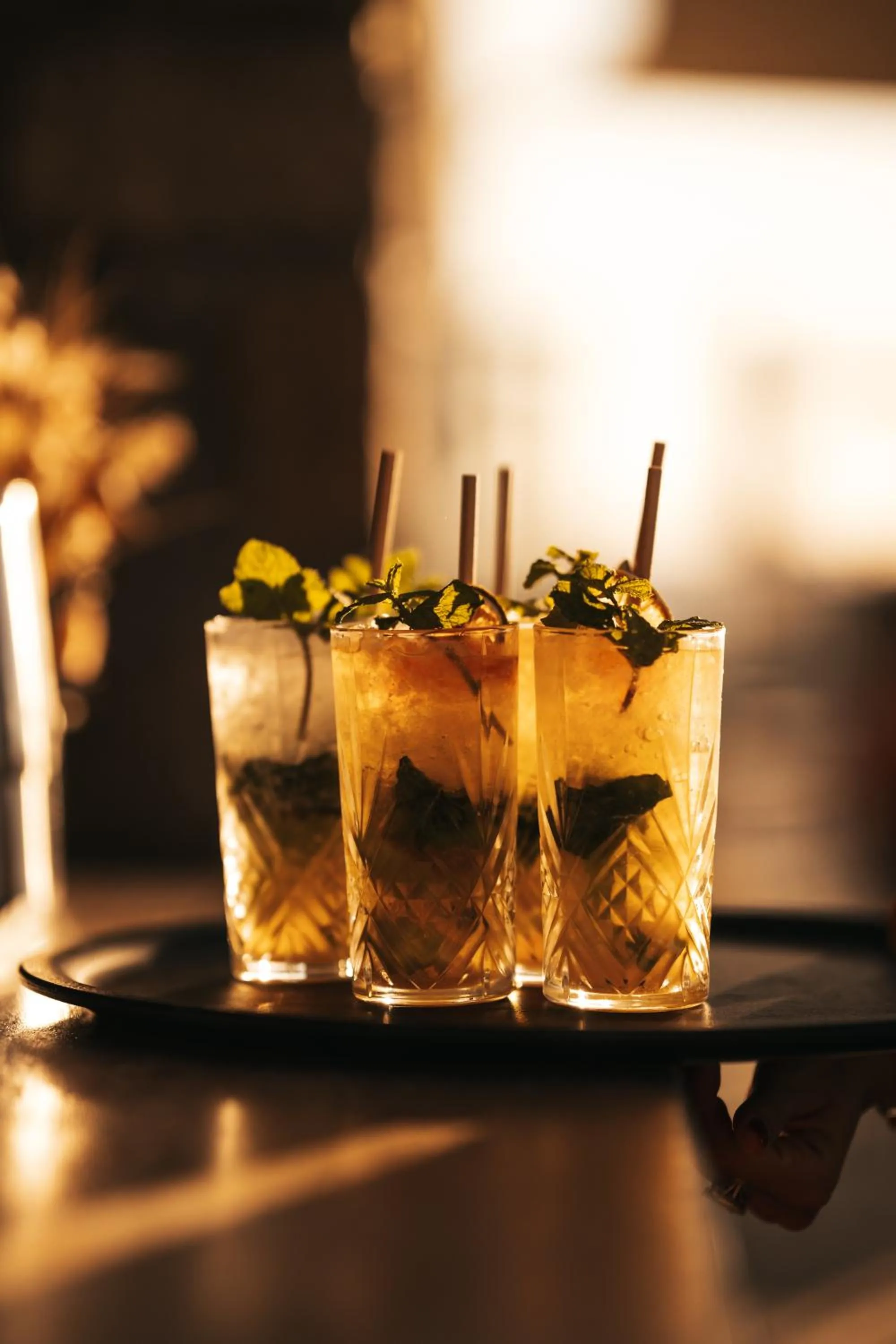 Garden in Sofitel Golfe d'Ajaccio Thalassa Sea & Spa