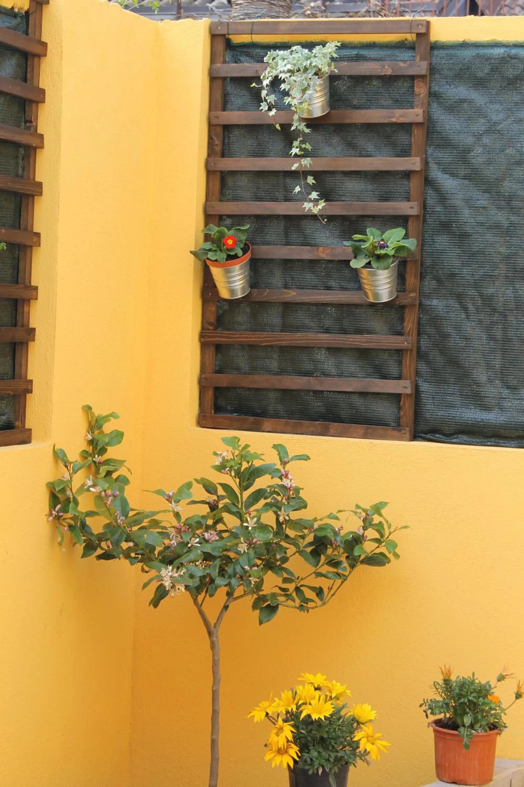 Garden in B&B Scirocco D'Africa