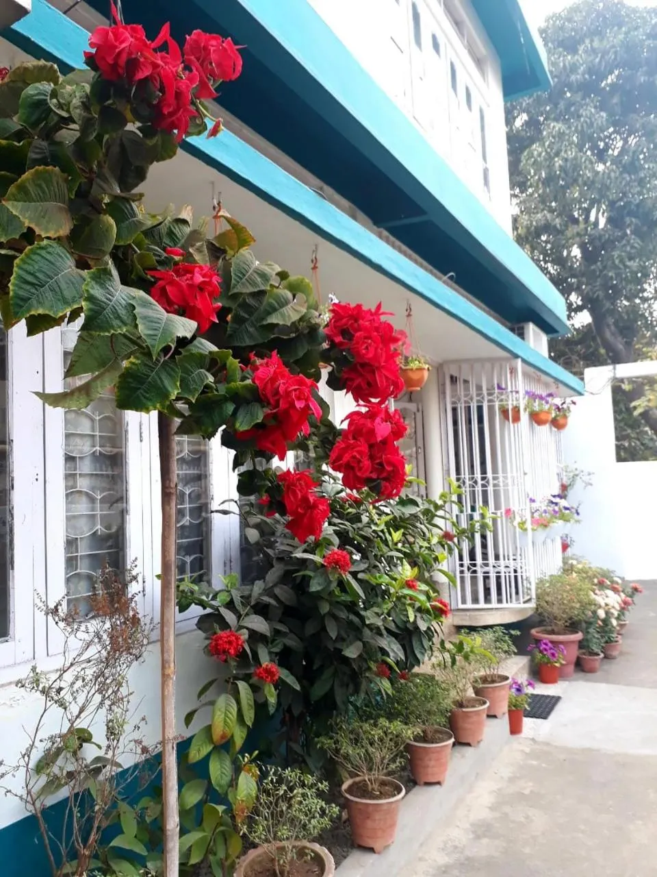 Namaskar Lodge and Homestay