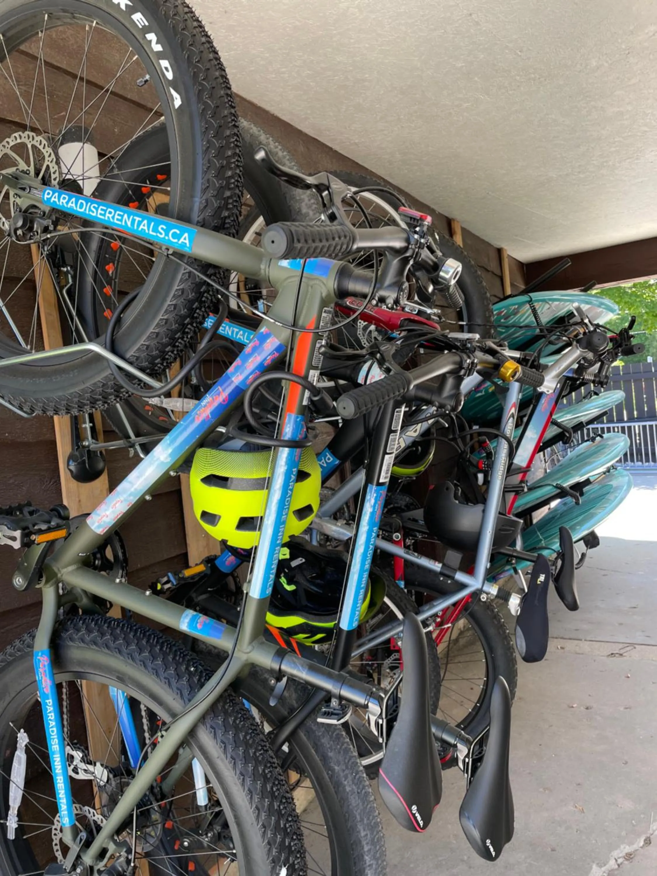 Activities in Paradise Inn On the Beach