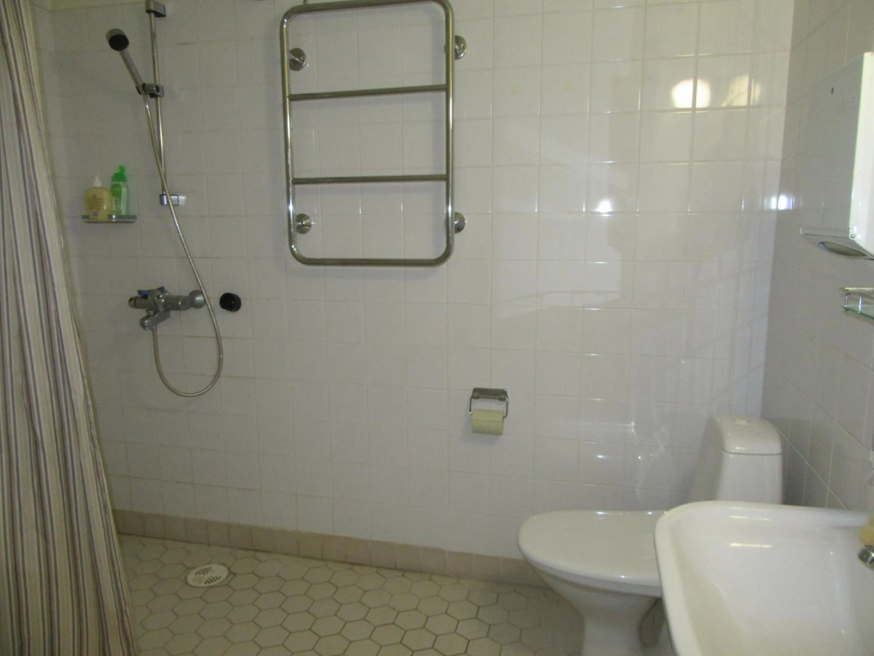 Shower in Immalanjärvi