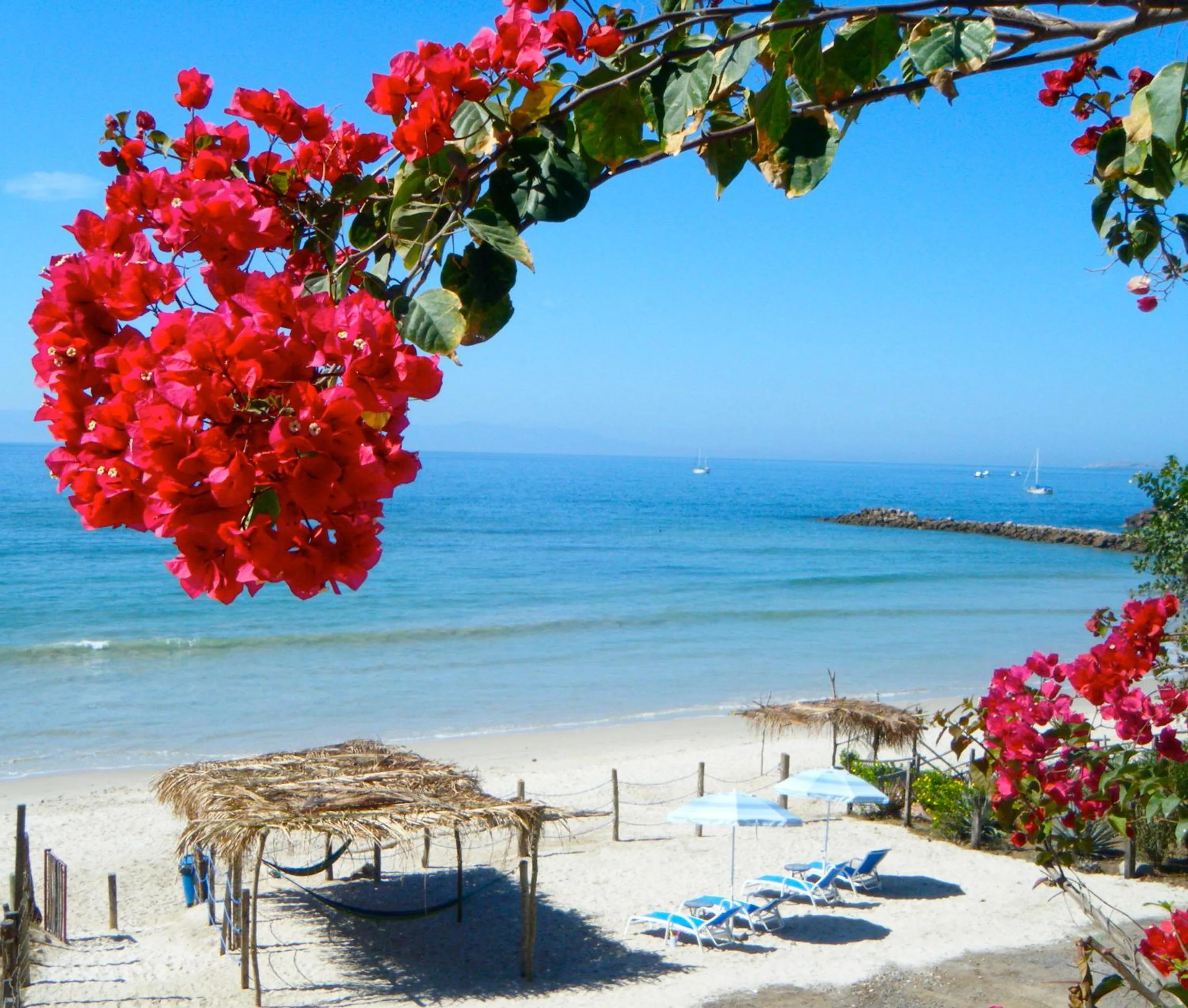 Beach in Hotel La Quinta del Sol