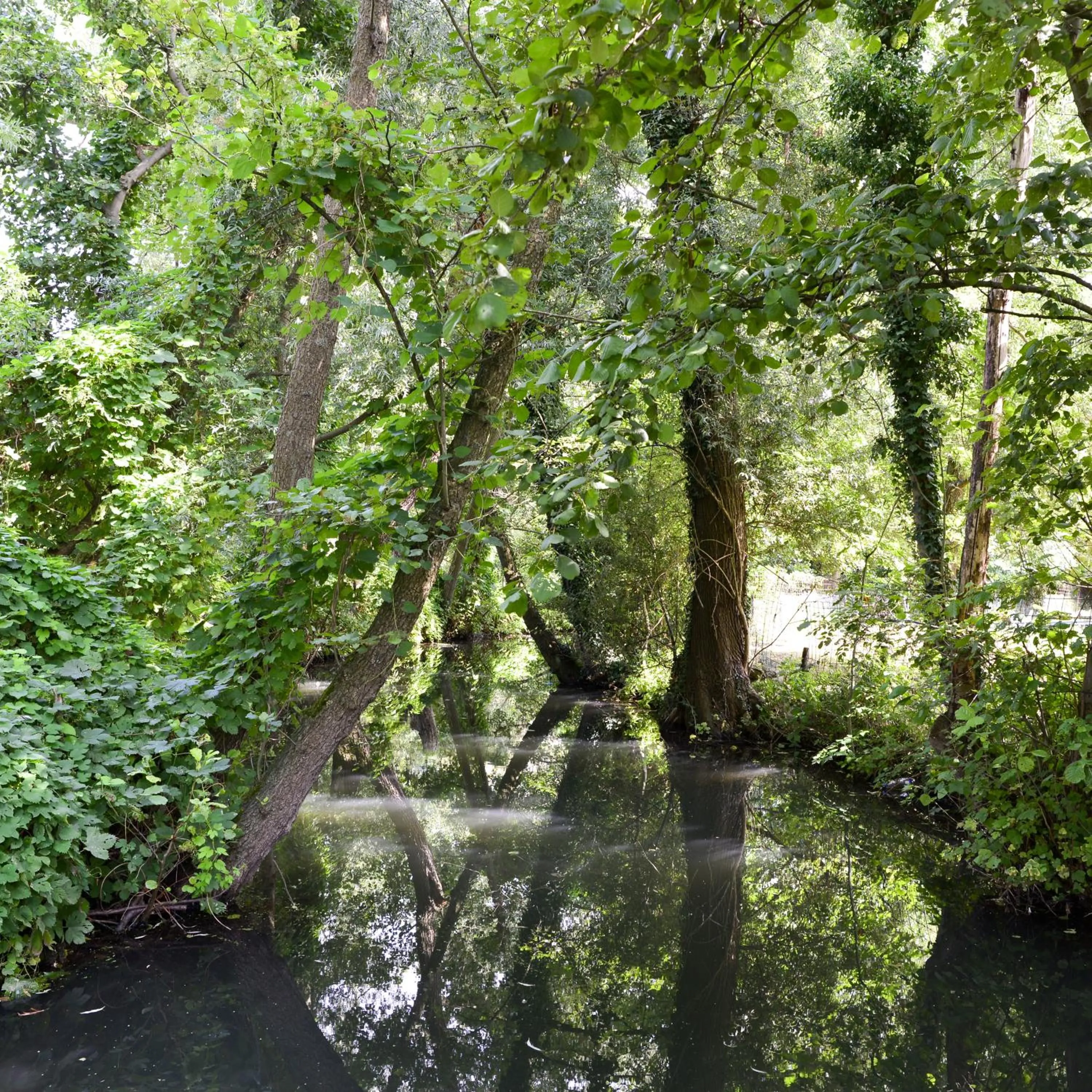 Natural landscape in B & B Meet the Dutch