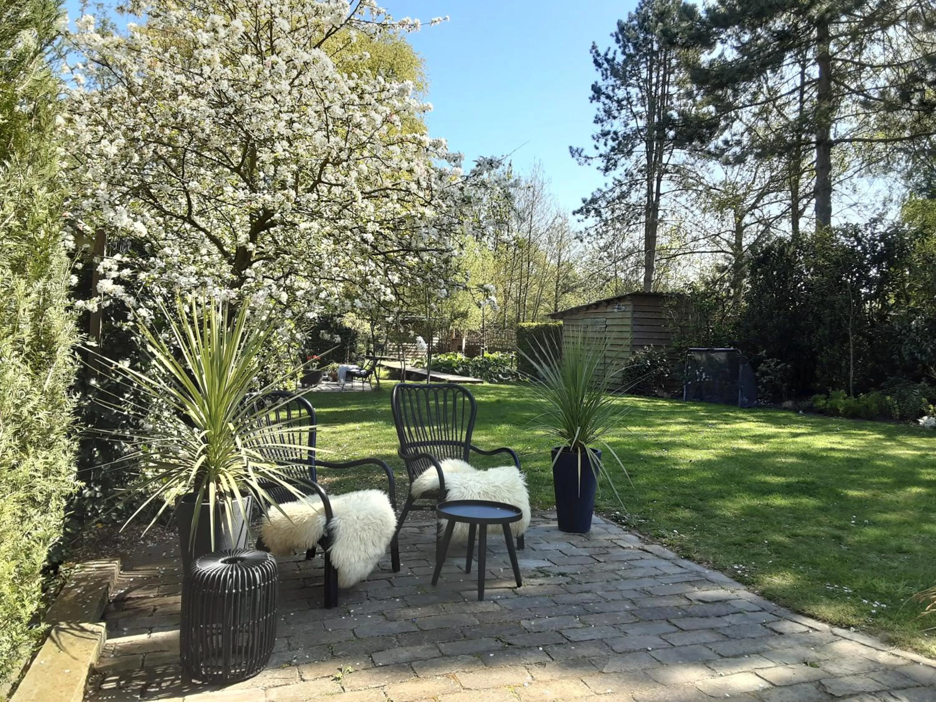 Garden in B & B Meet the Dutch