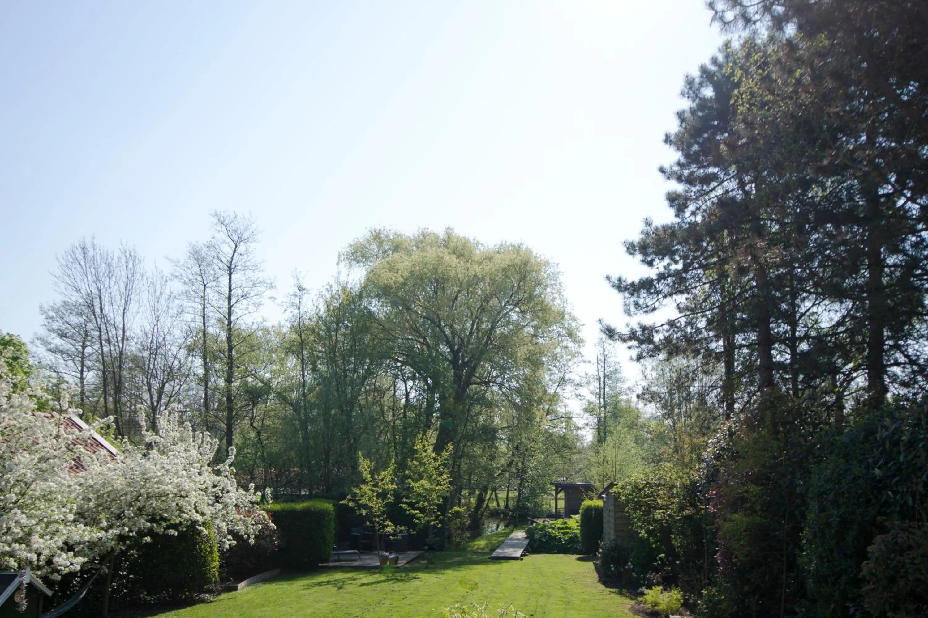 Garden in B & B Meet the Dutch