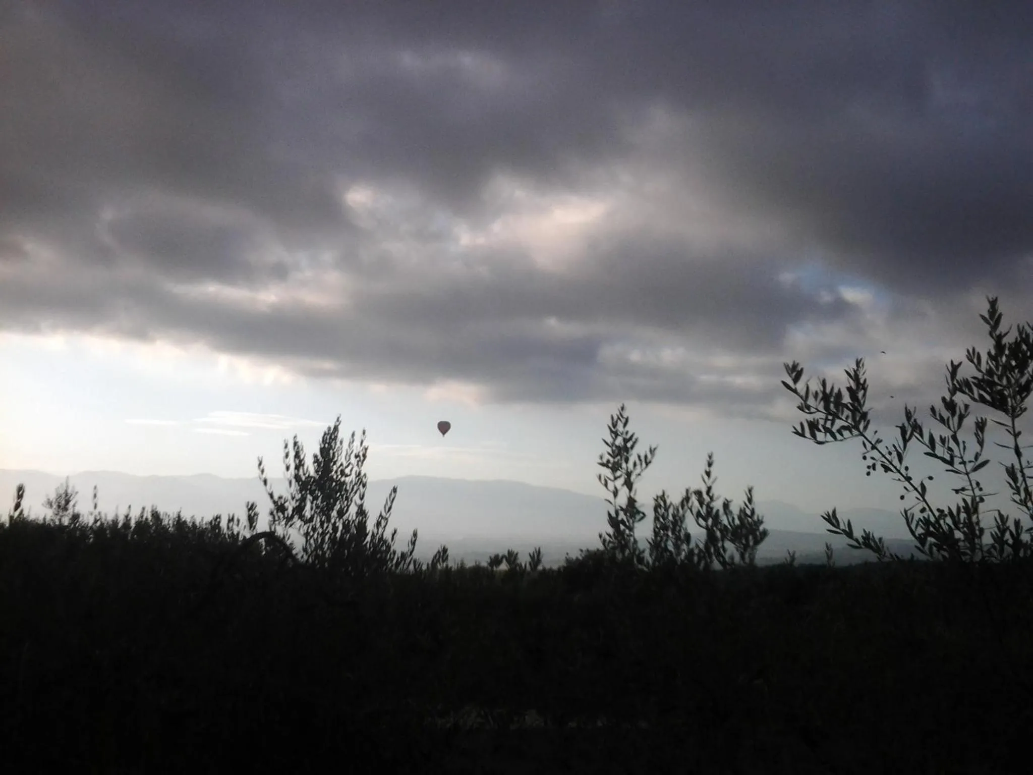 Natural landscape in Poggio La Grognola