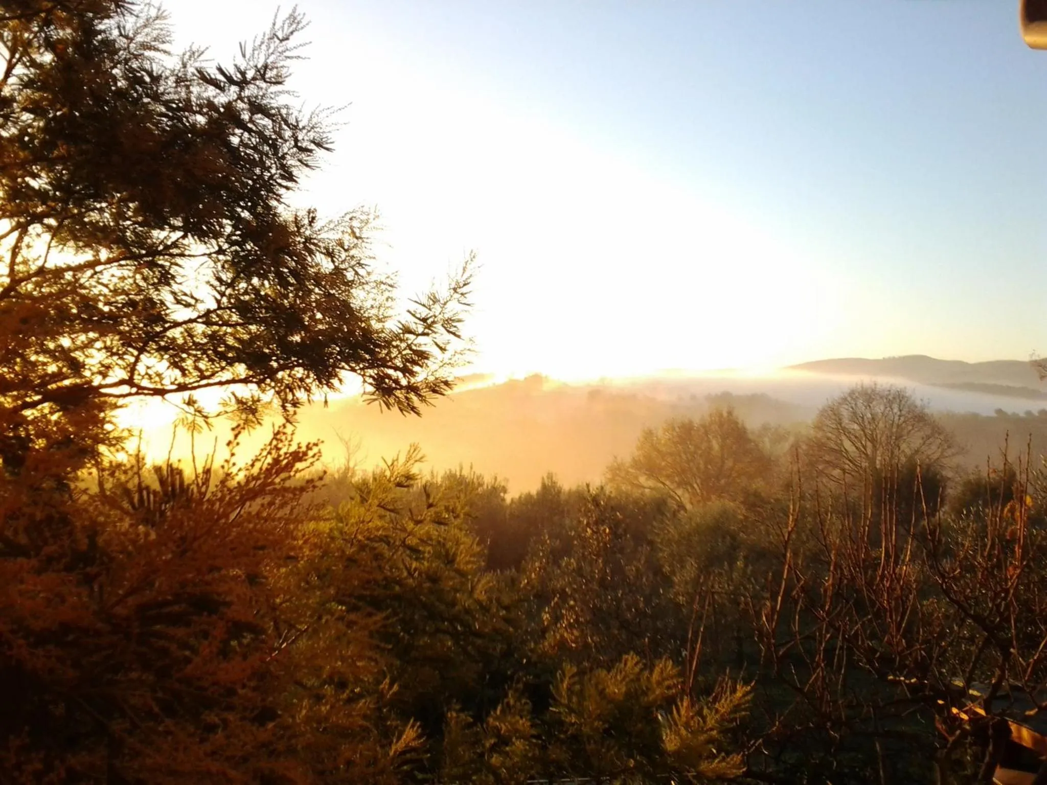 Natural landscape in Poggio La Grognola