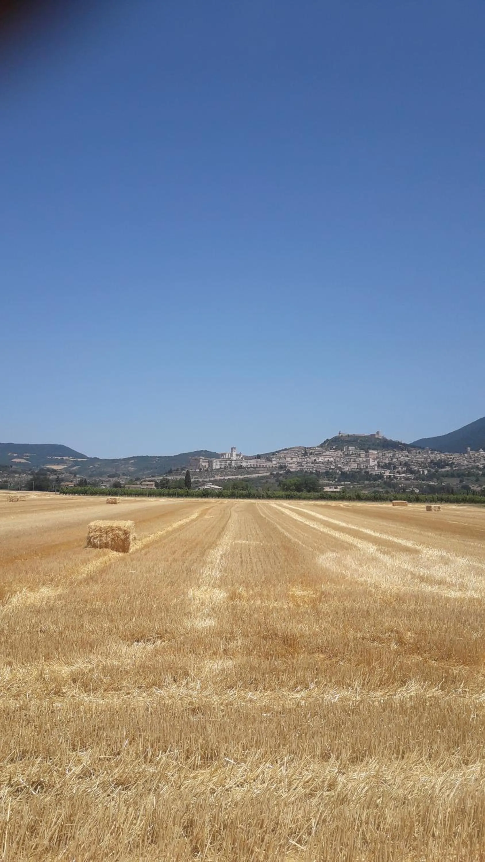 Poggio La Grognola