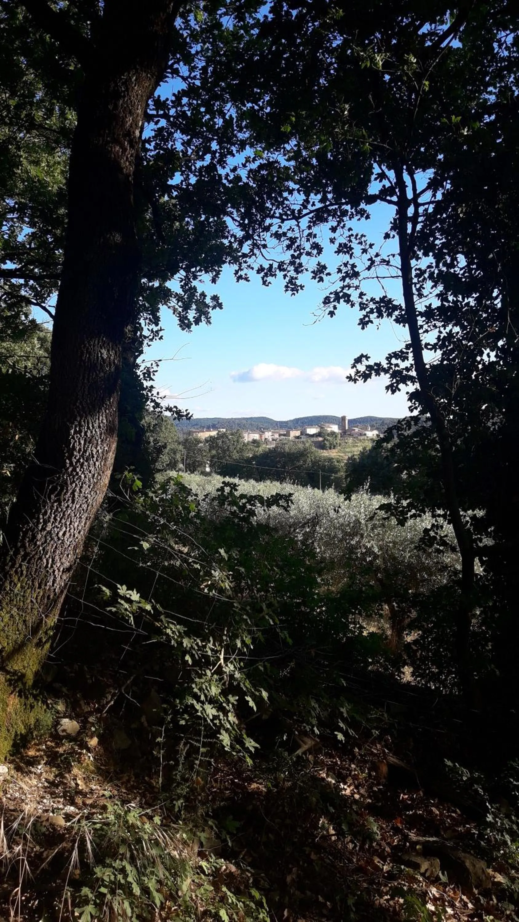 Poggio La Grognola