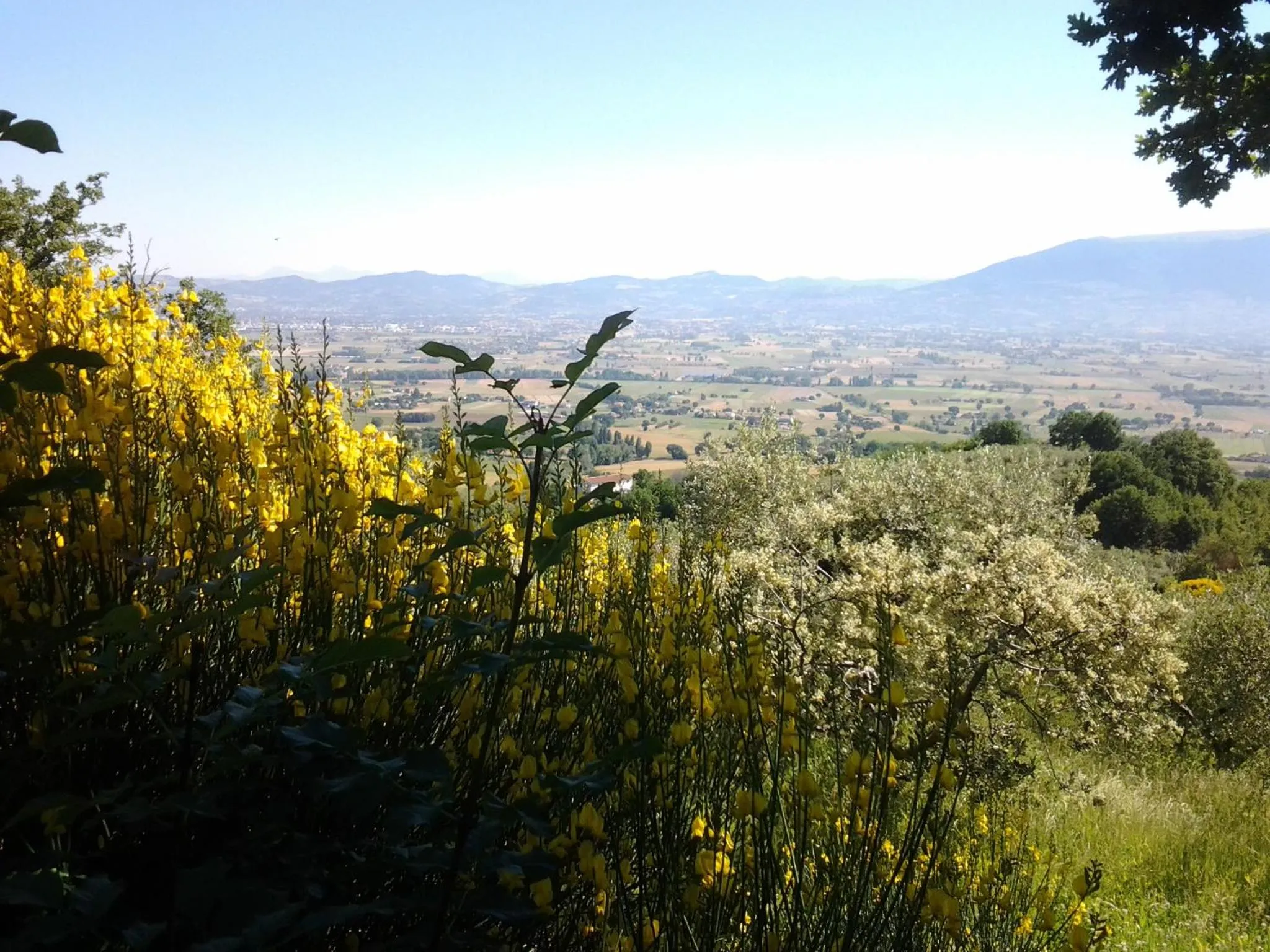 Poggio La Grognola
