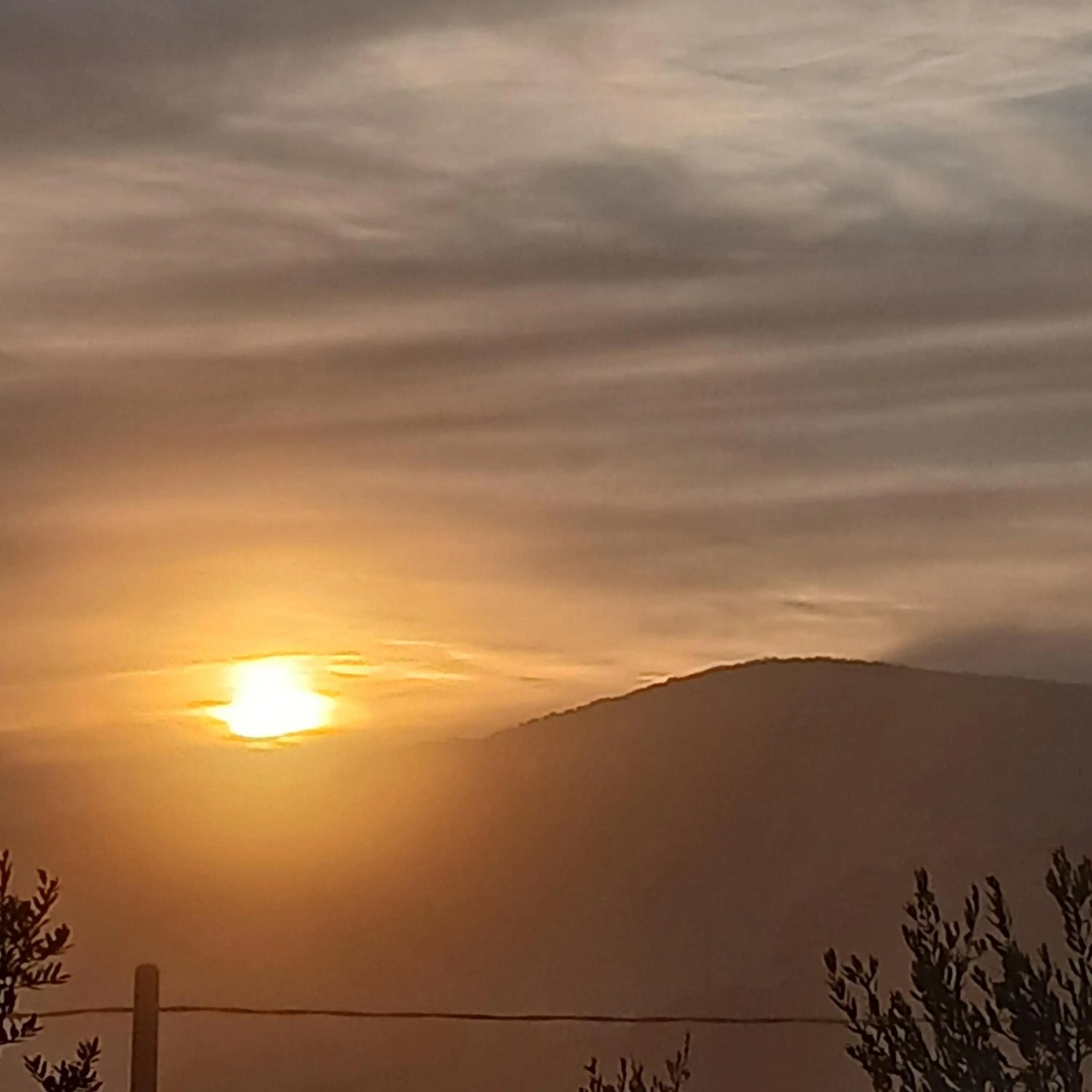 Poggio La Grognola