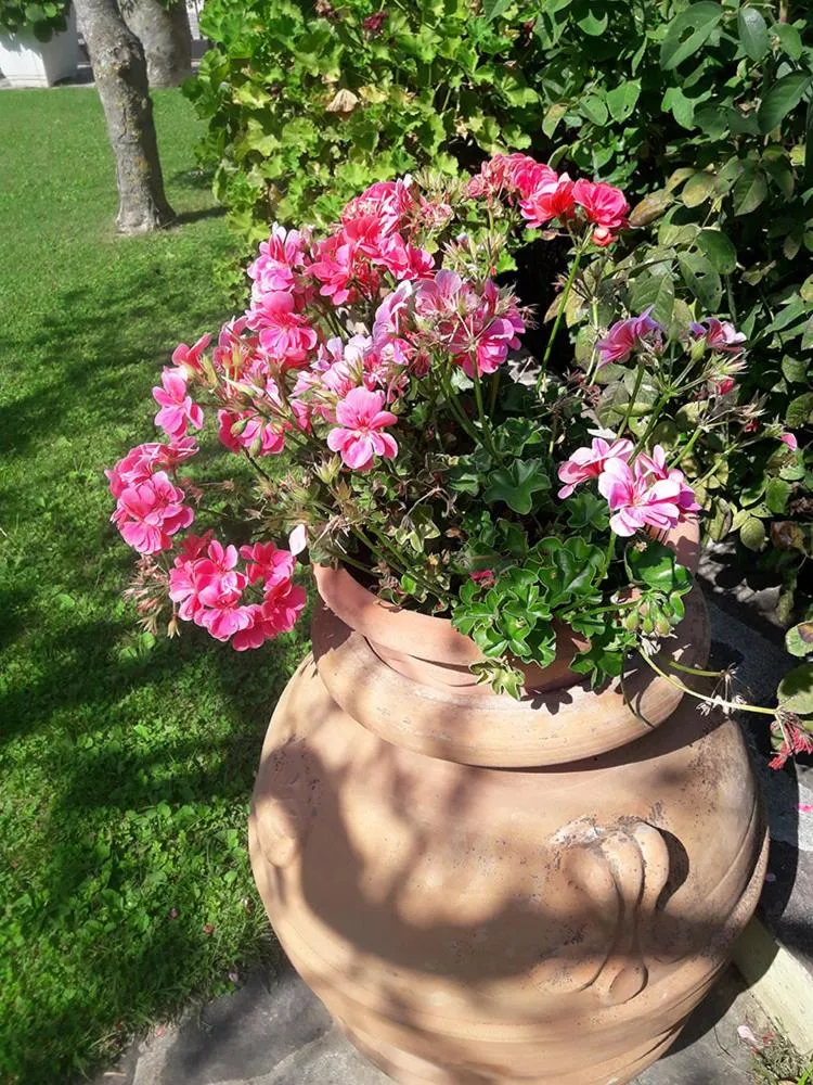 Garden in Poggio La Grognola