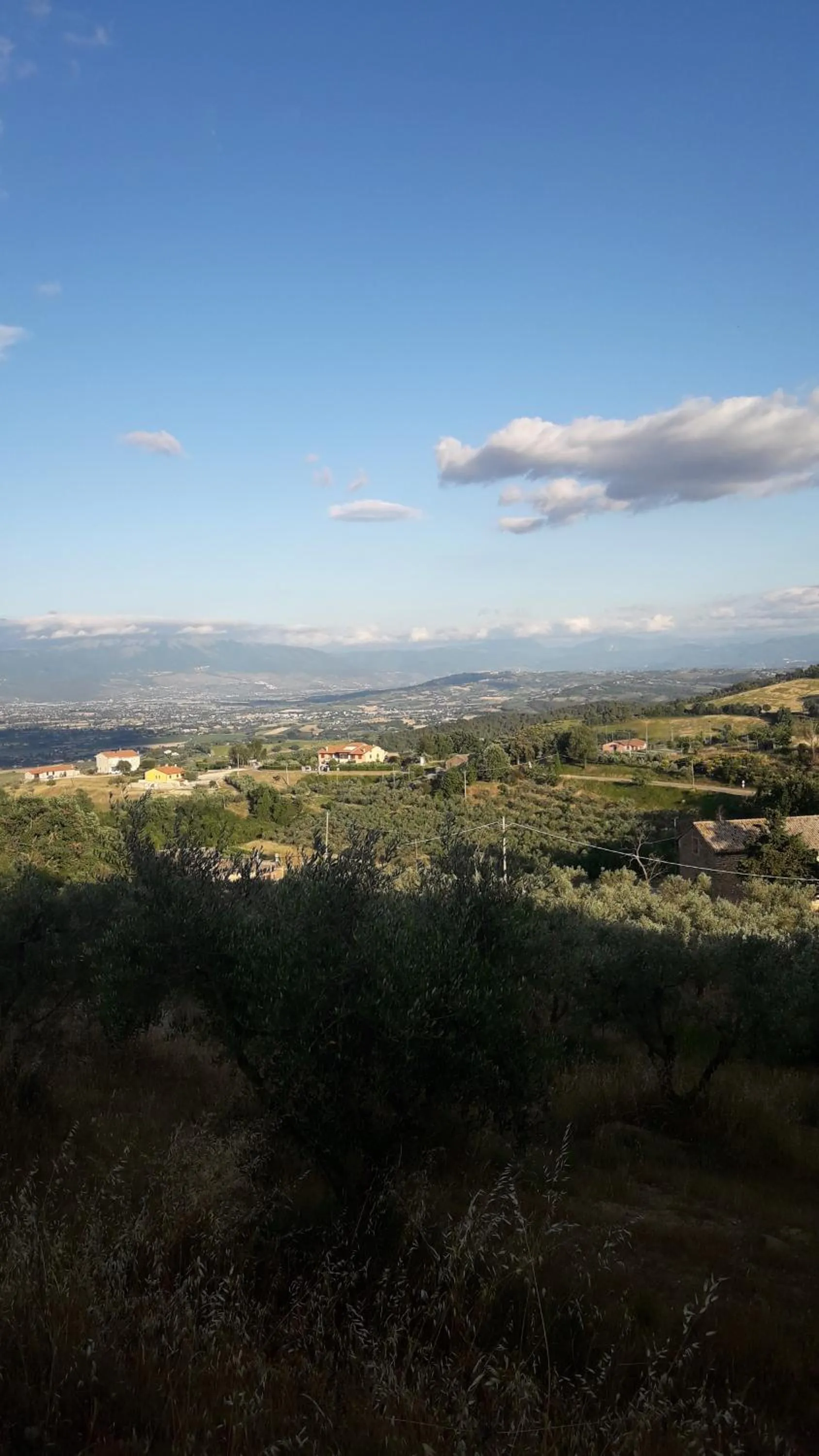 Poggio La Grognola
