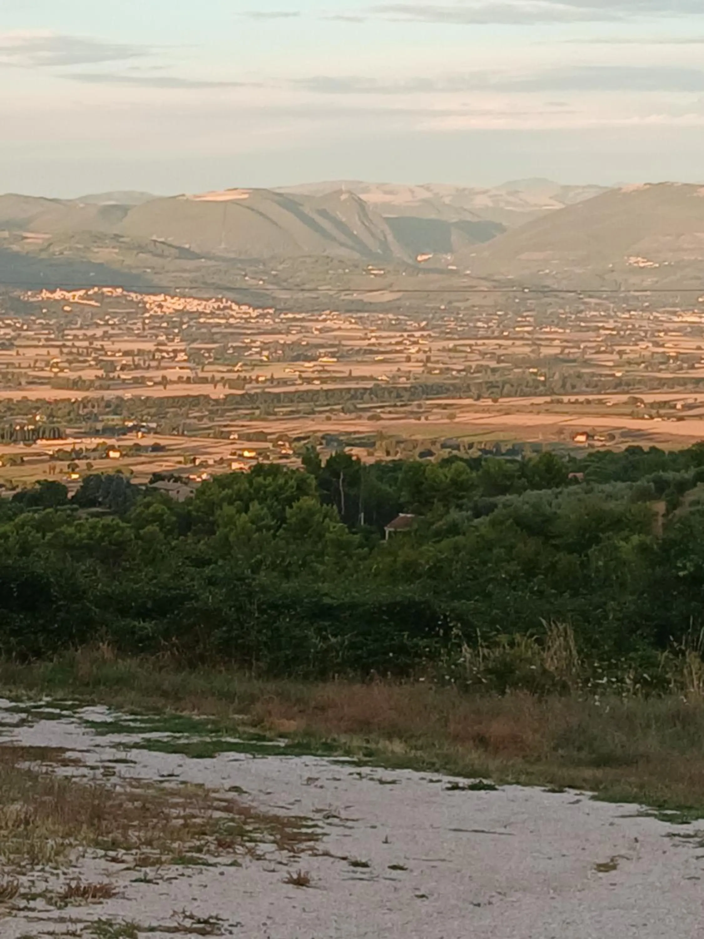 Poggio La Grognola