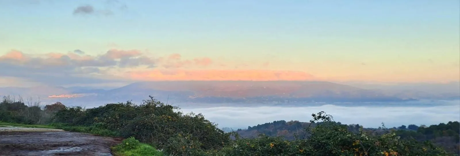 Poggio La Grognola