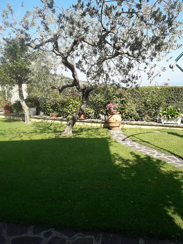 Poggio La Grognola