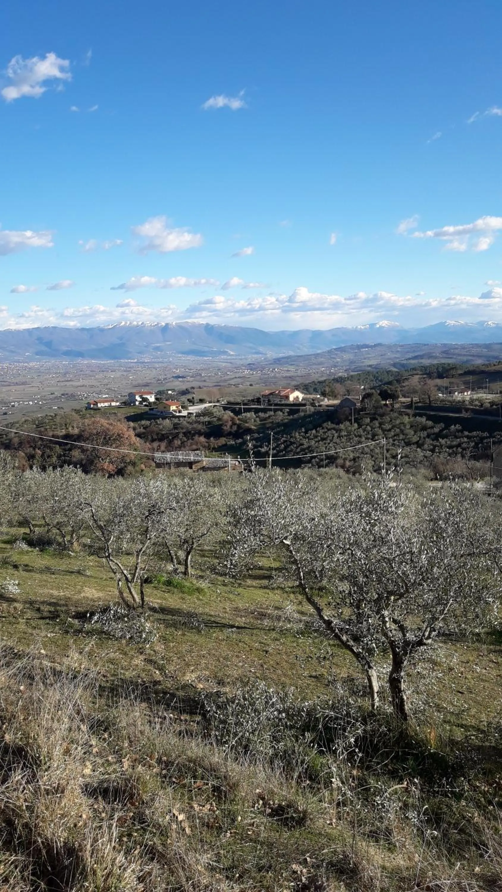 Poggio La Grognola