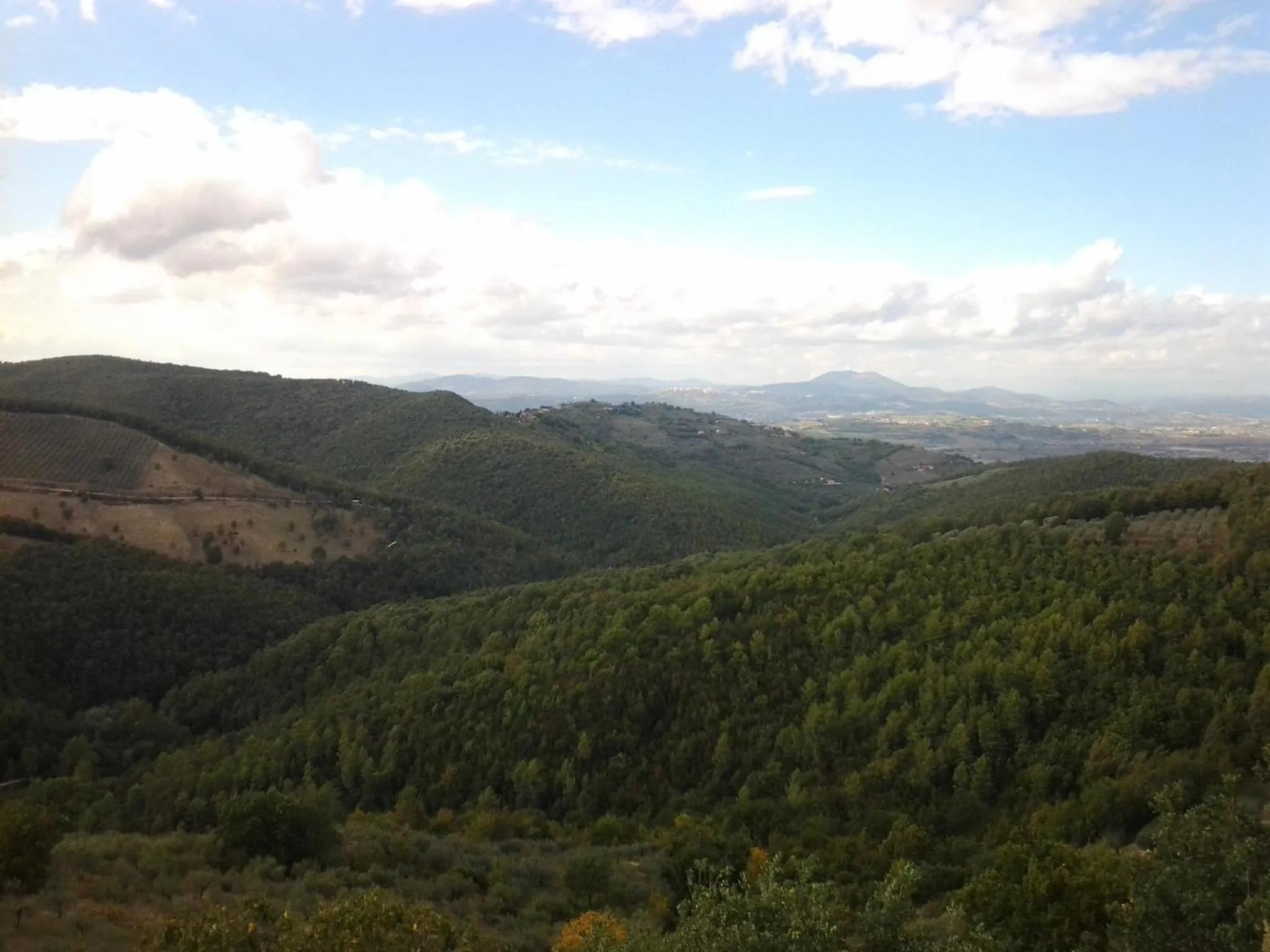Natural landscape in Poggio La Grognola