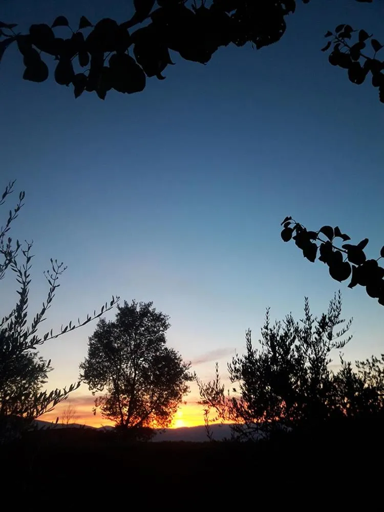 Poggio La Grognola