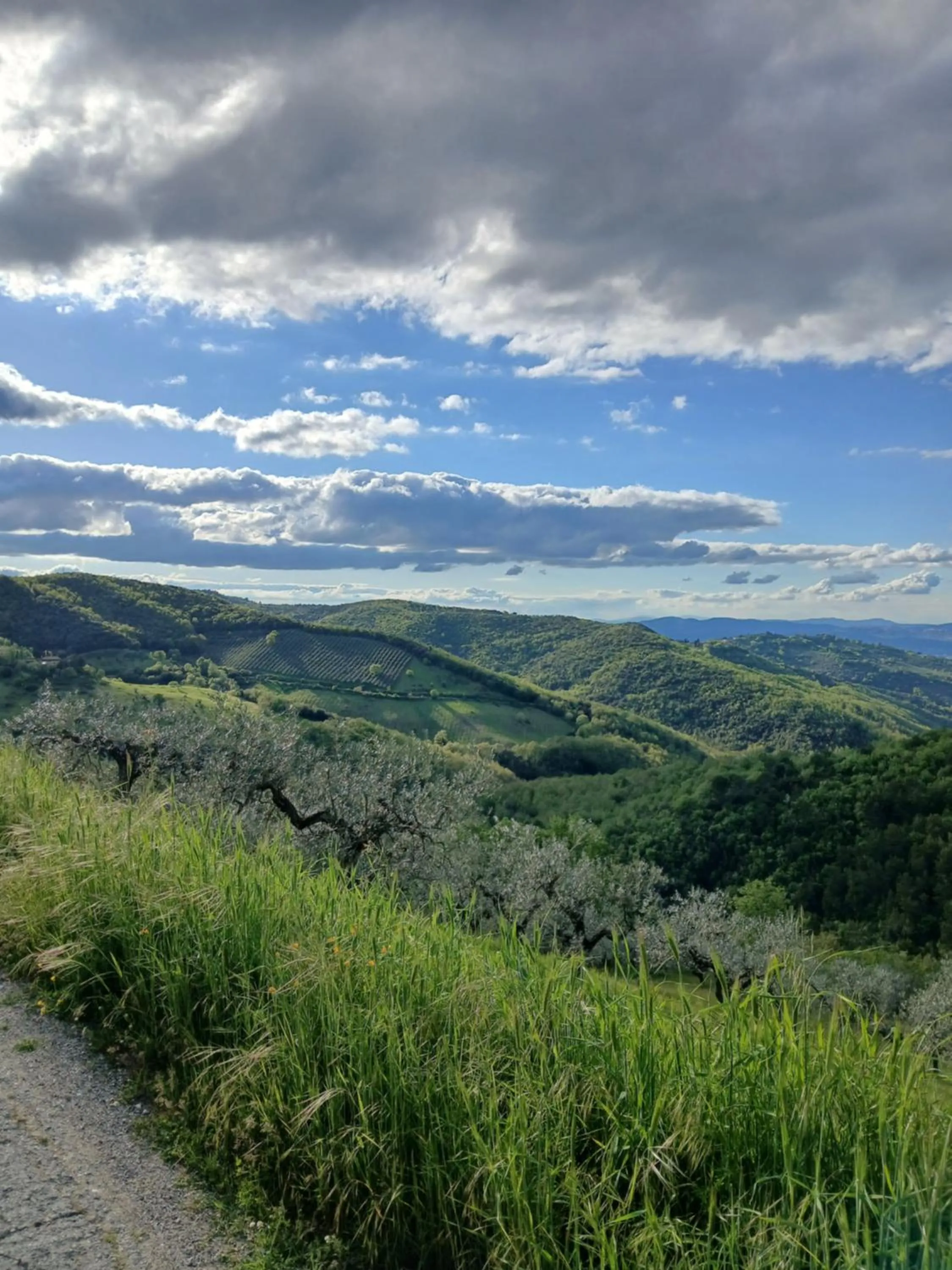 Poggio La Grognola