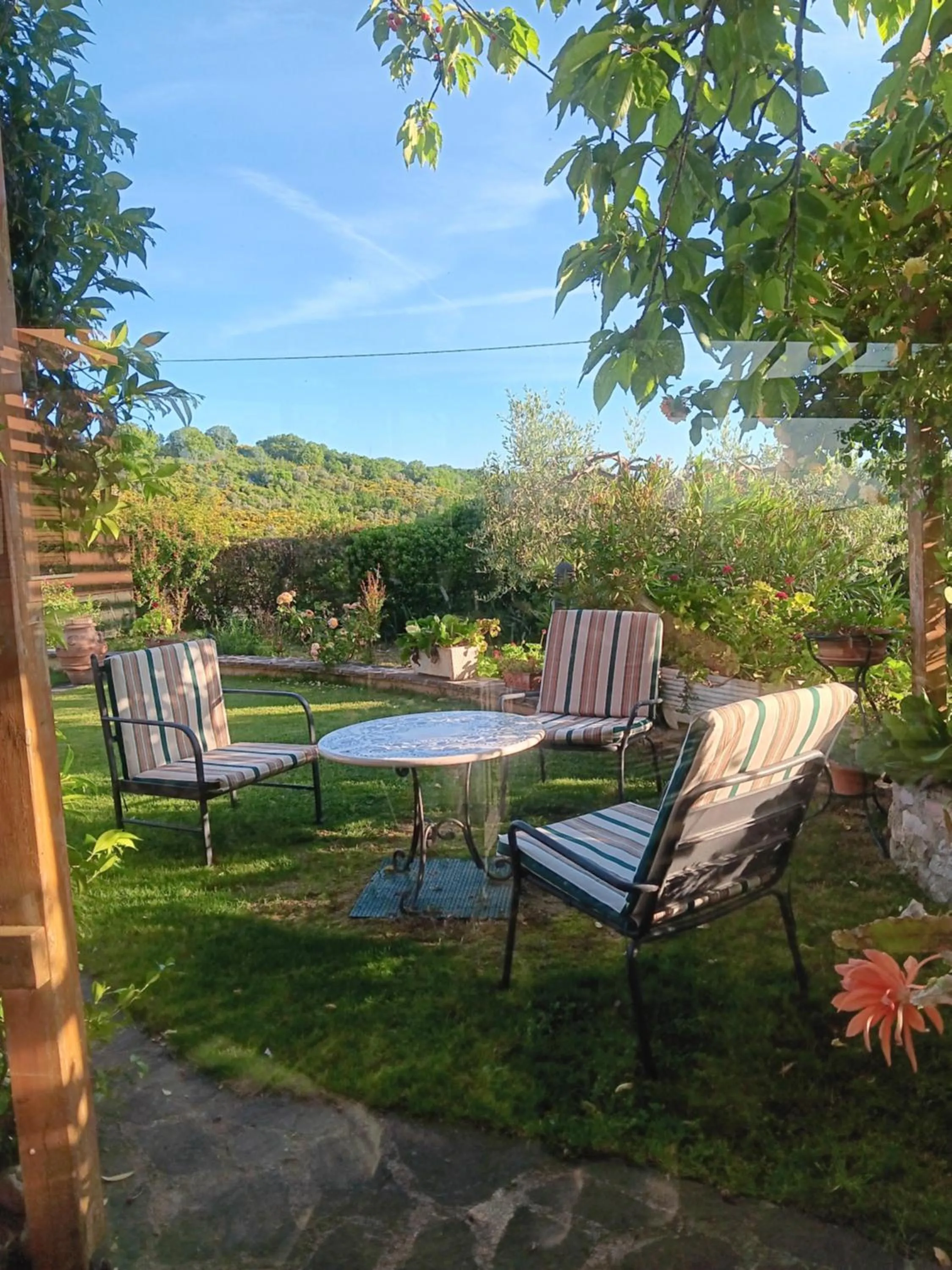 Garden in Poggio La Grognola