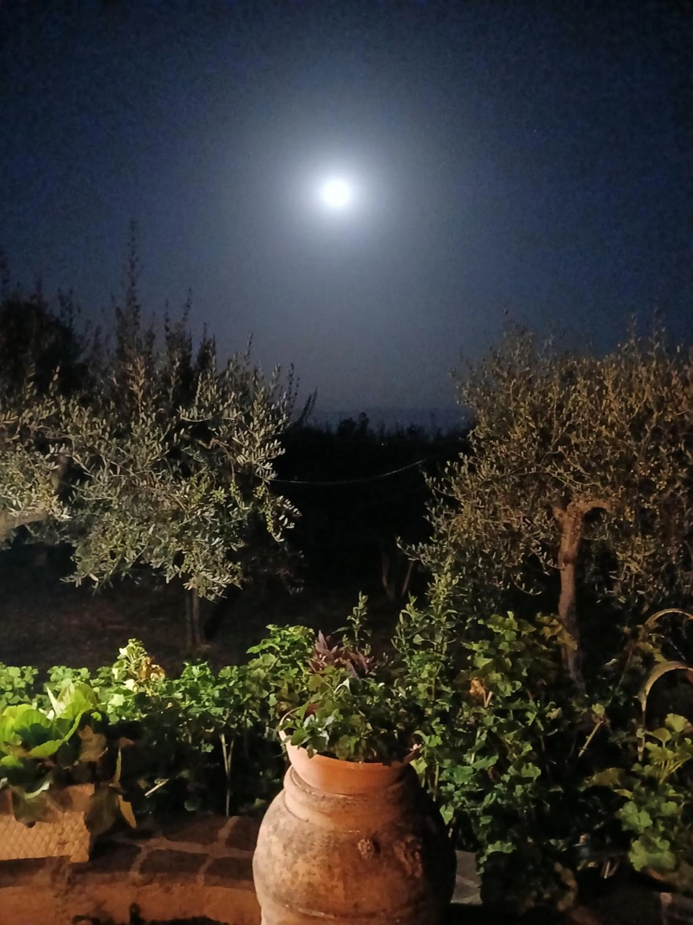Poggio La Grognola