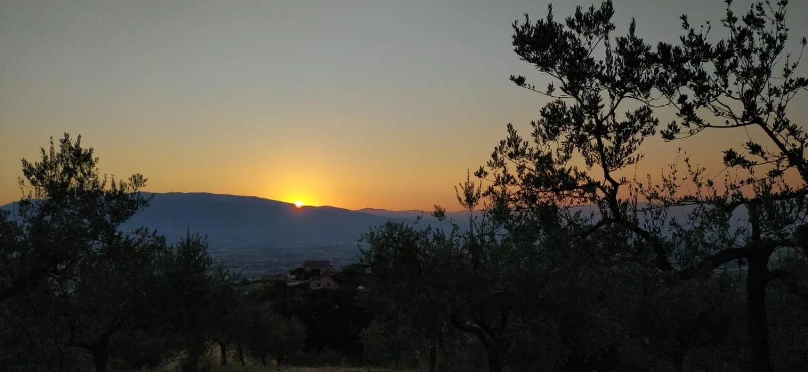Poggio La Grognola