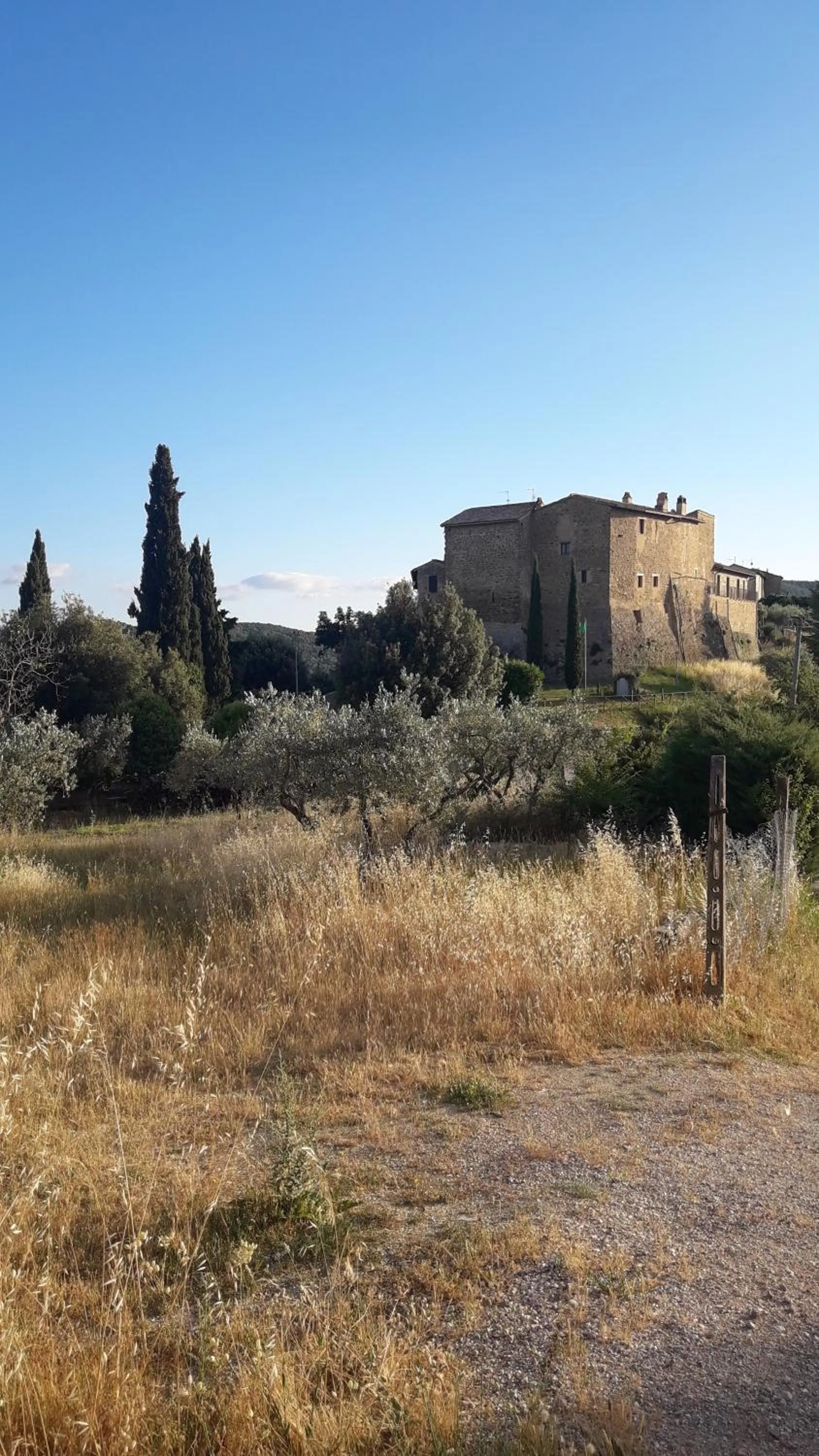 Poggio La Grognola
