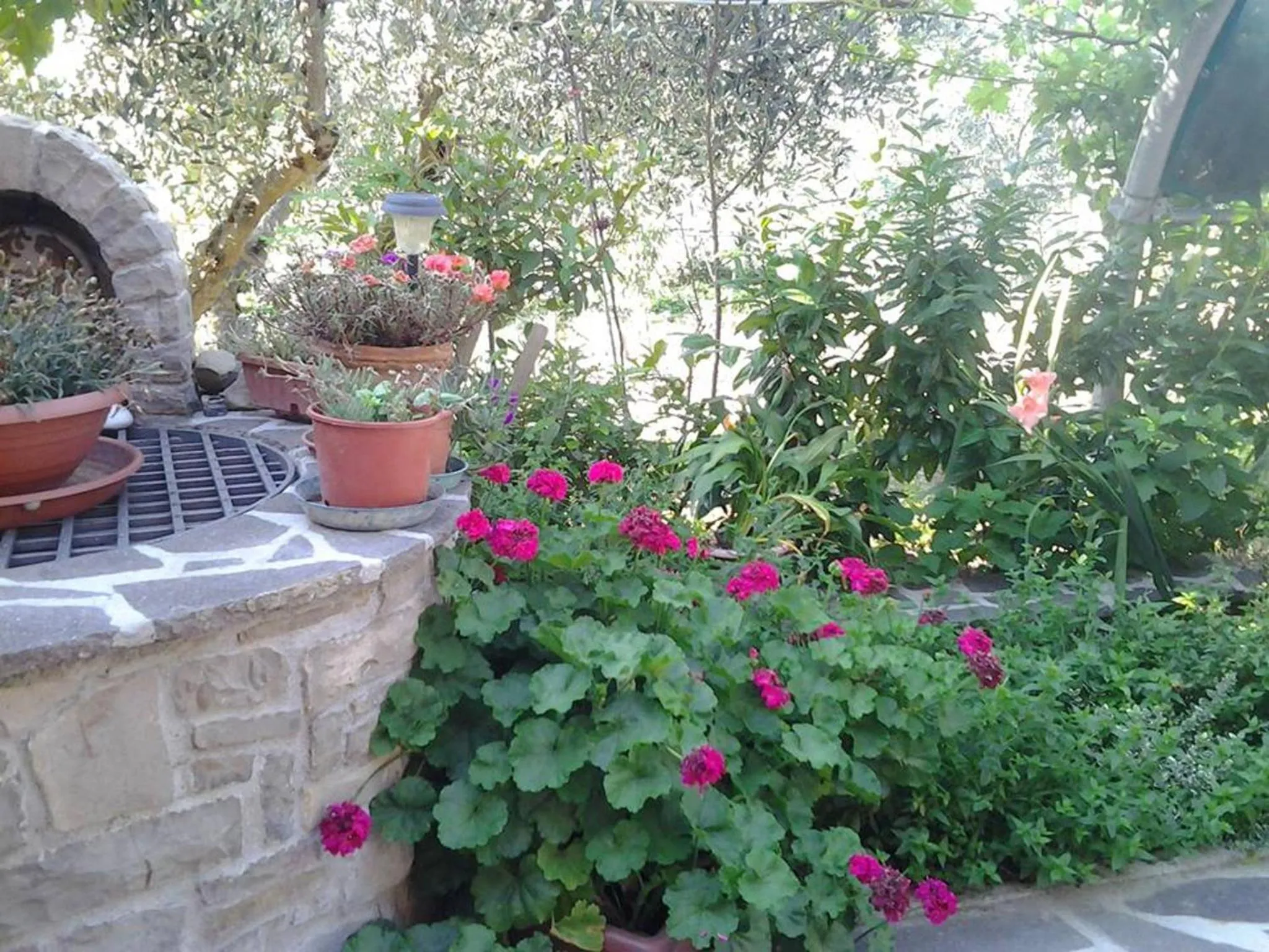 Garden in Poggio La Grognola