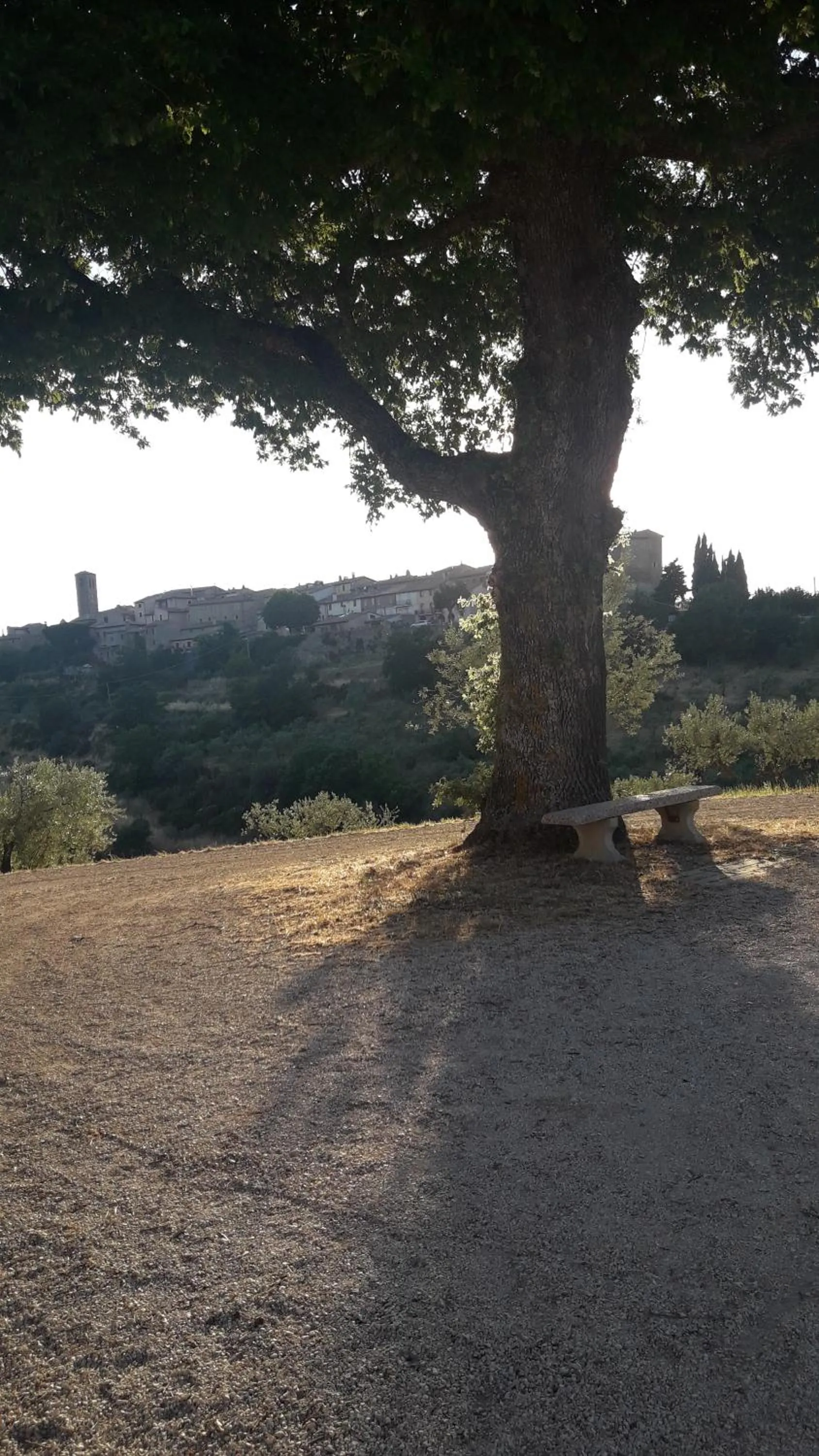Poggio La Grognola
