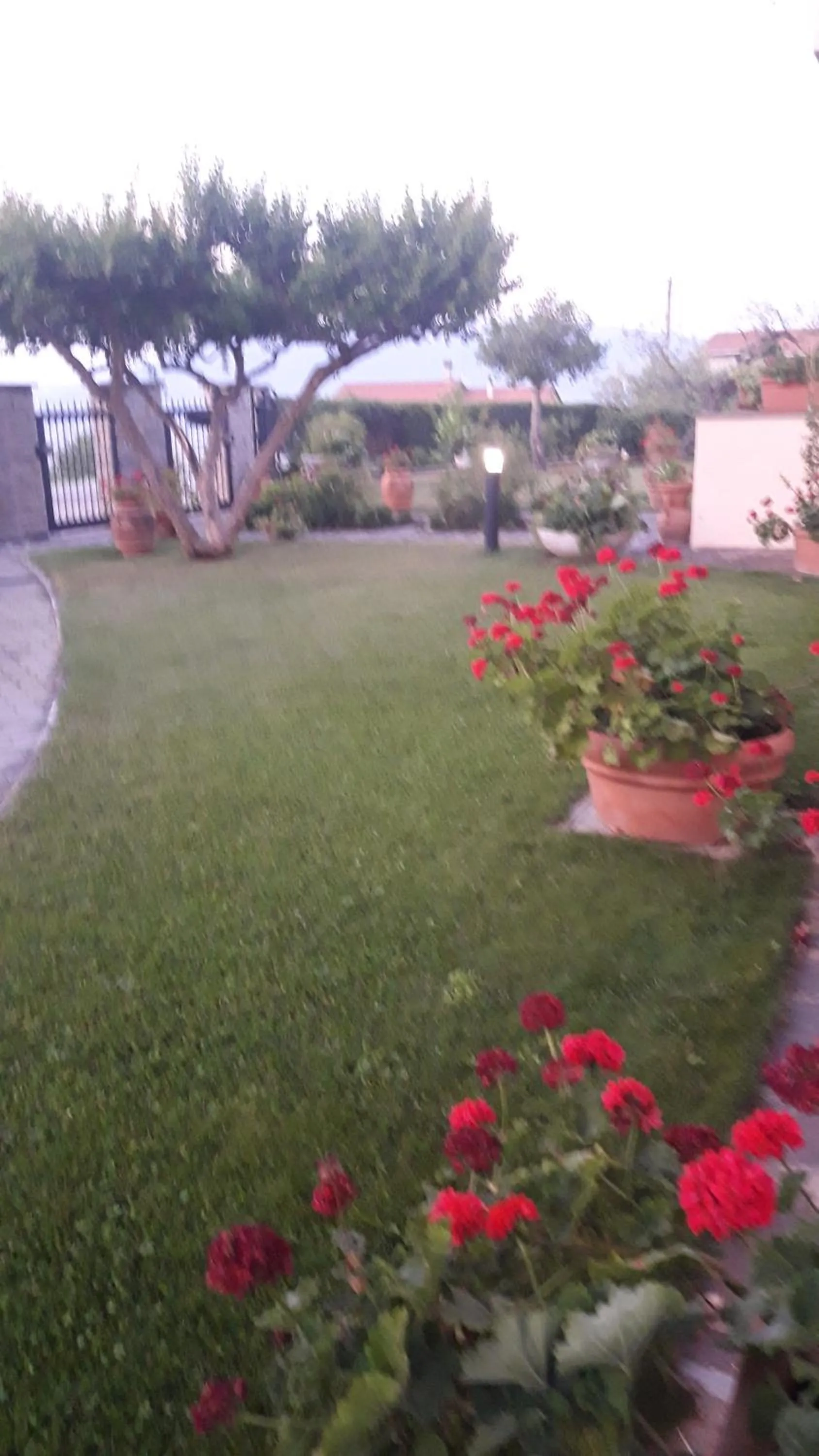 Poggio La Grognola