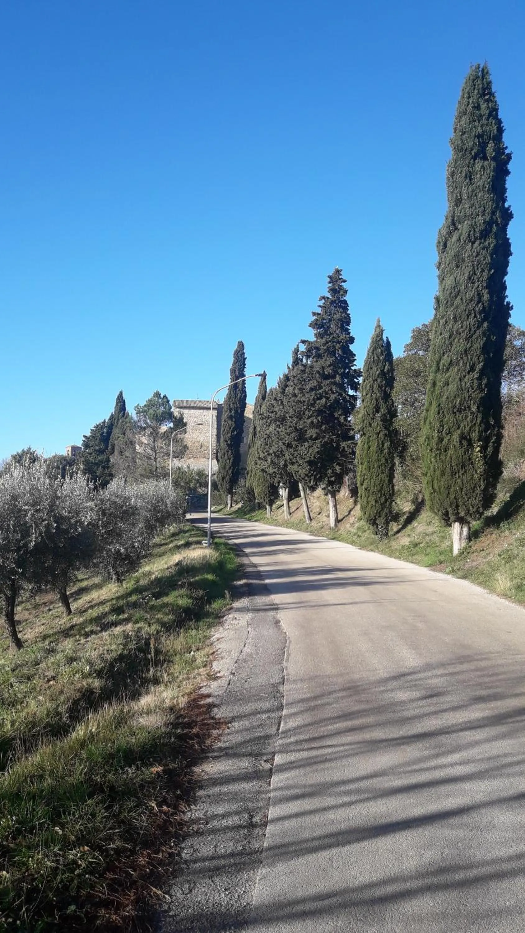 Poggio La Grognola