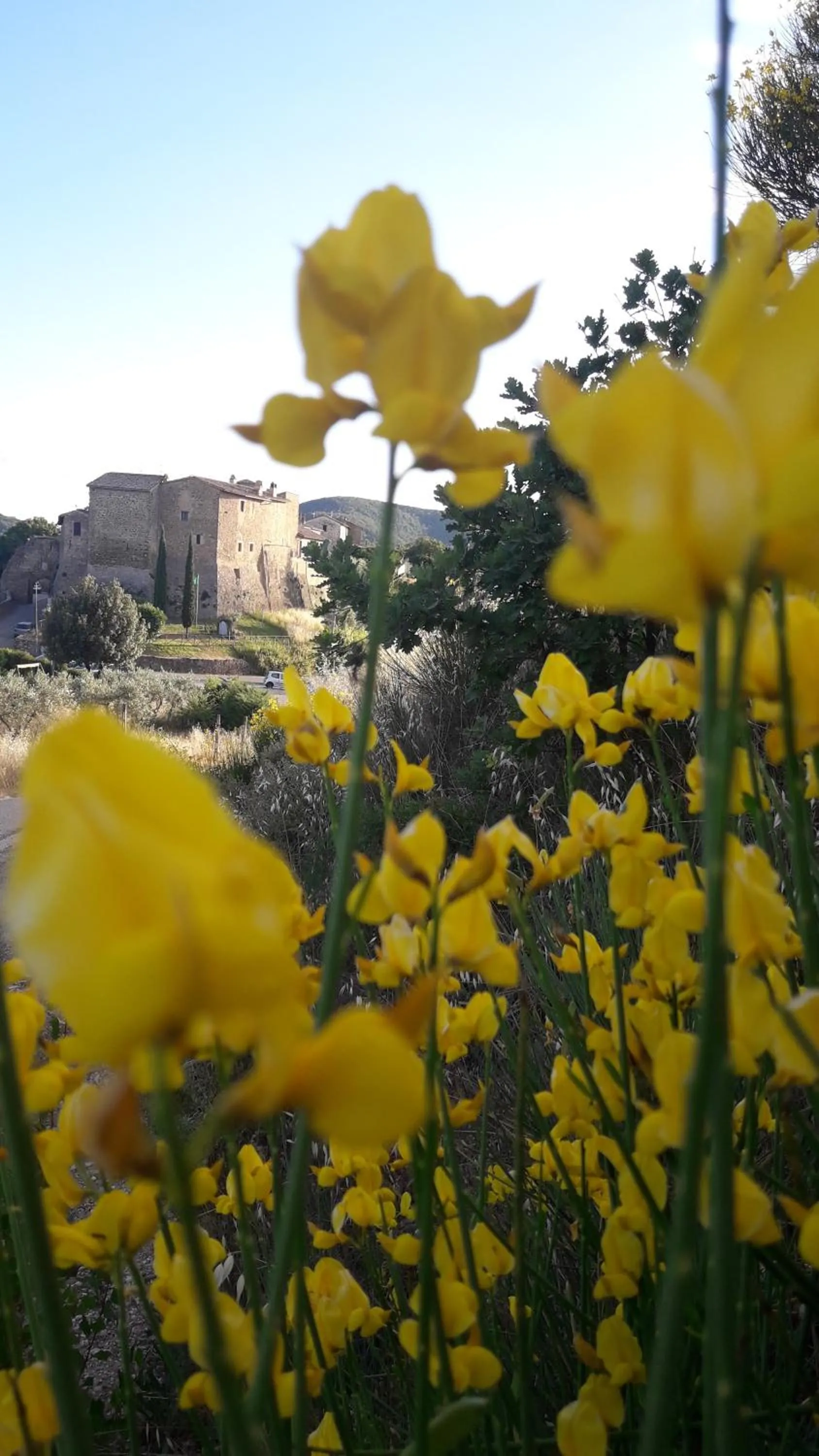 Poggio La Grognola