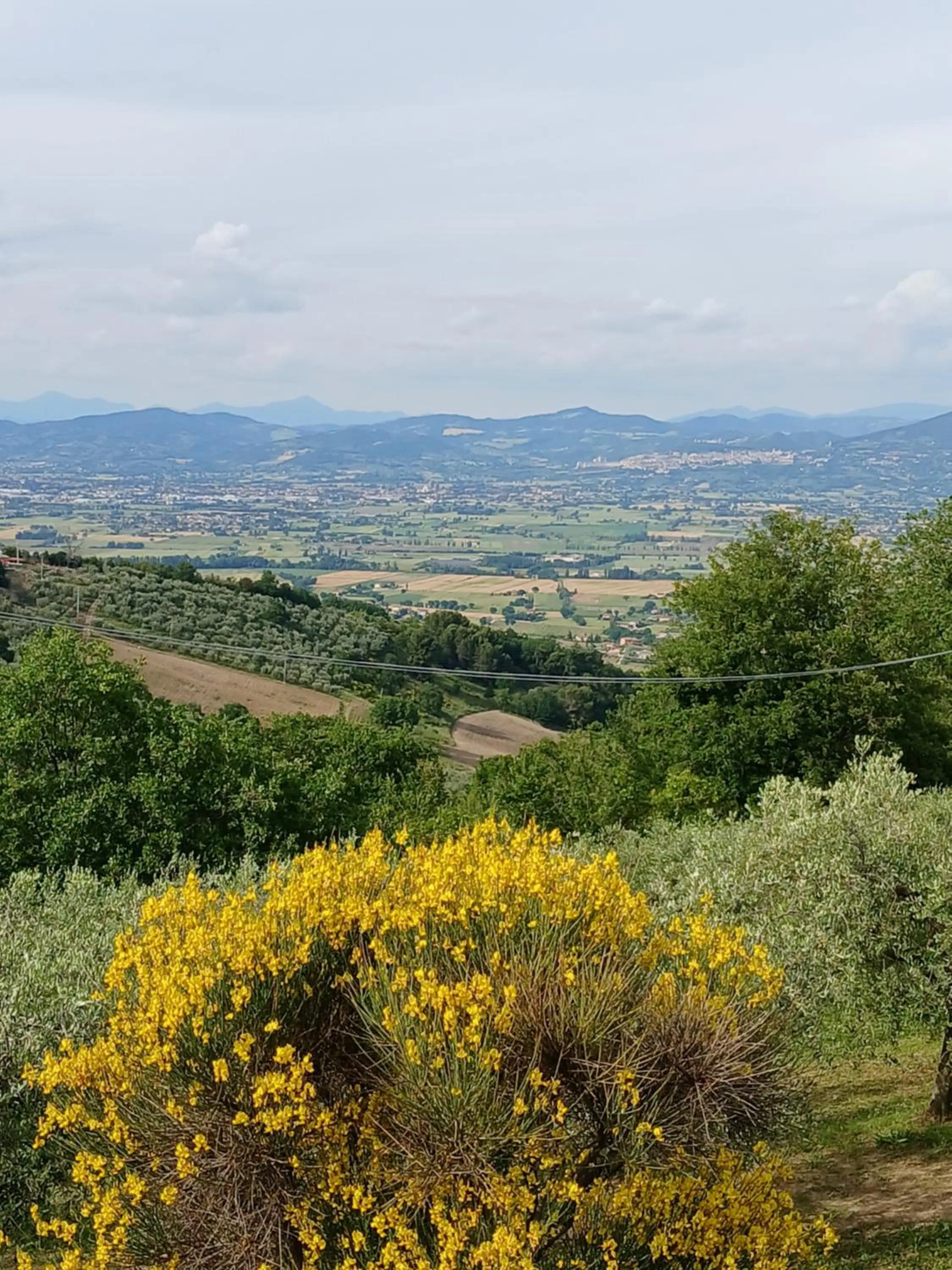 Poggio La Grognola