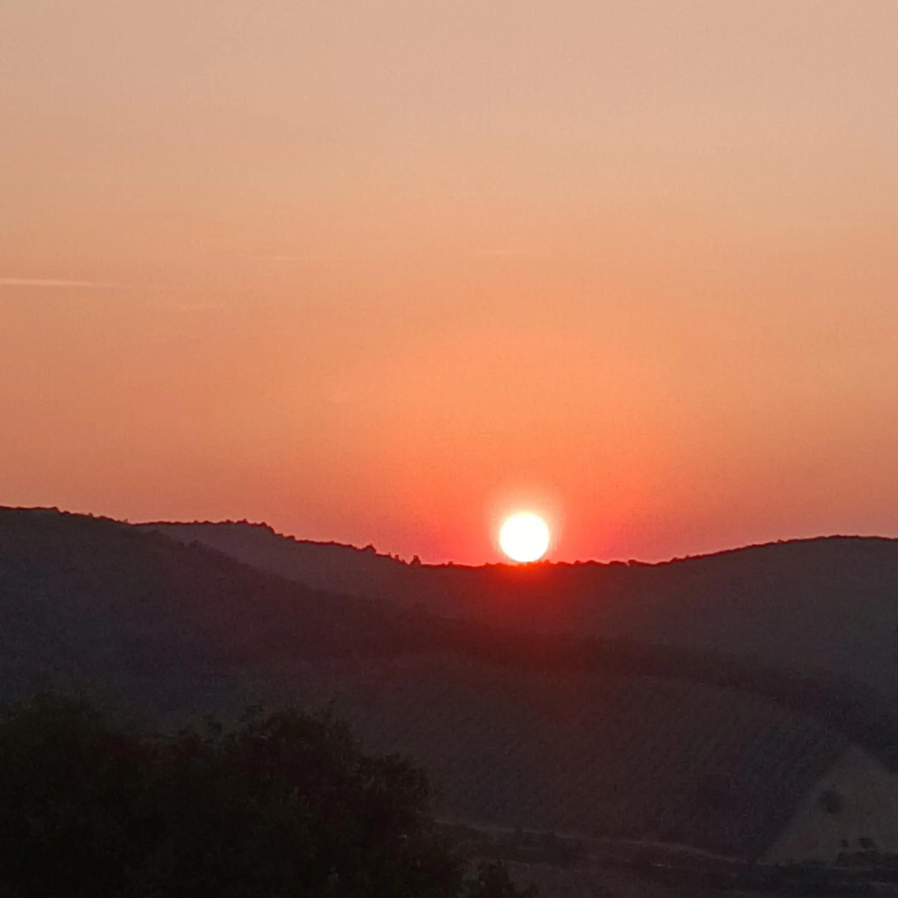Poggio La Grognola