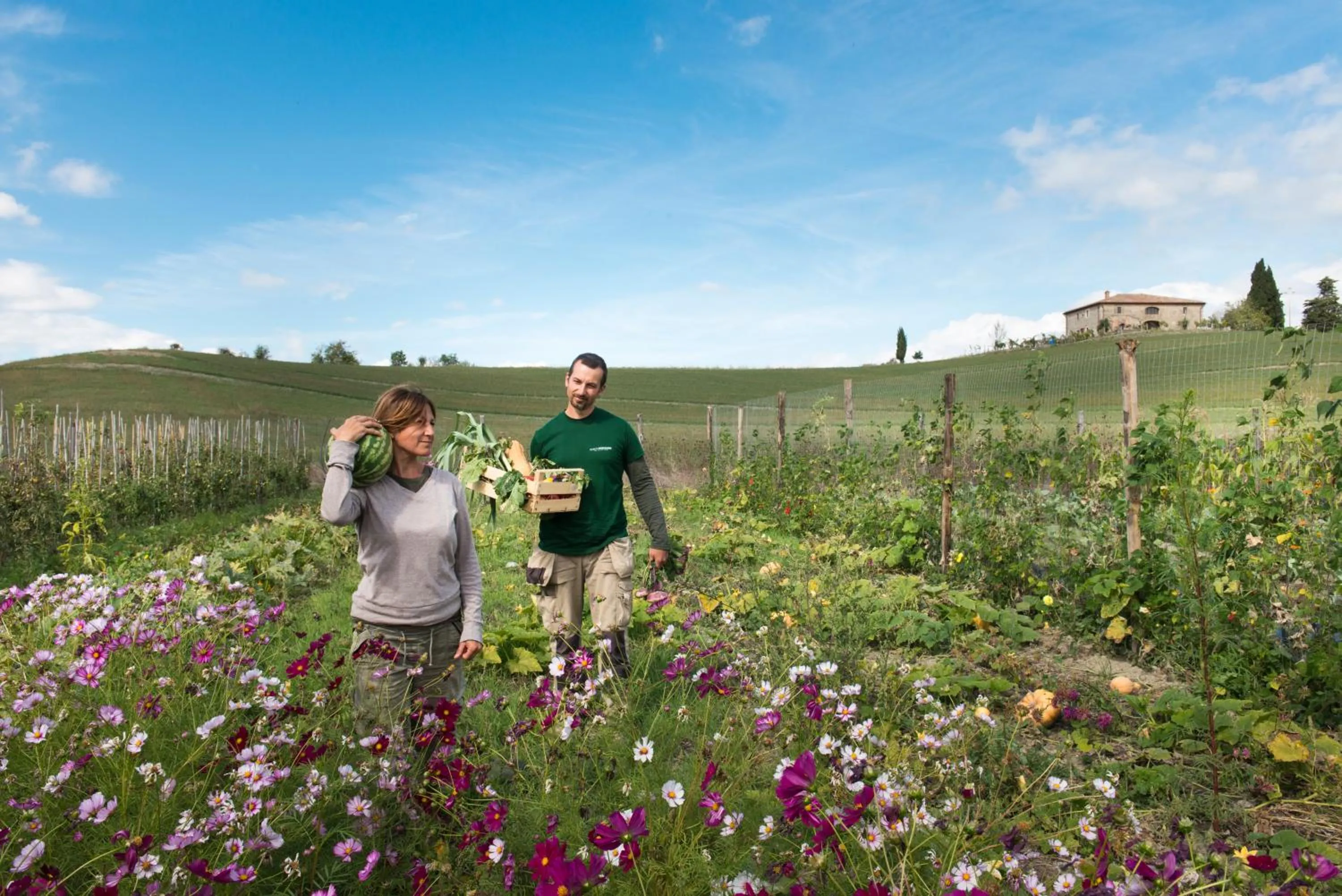 Activities in Borgo Pignano Tuscany