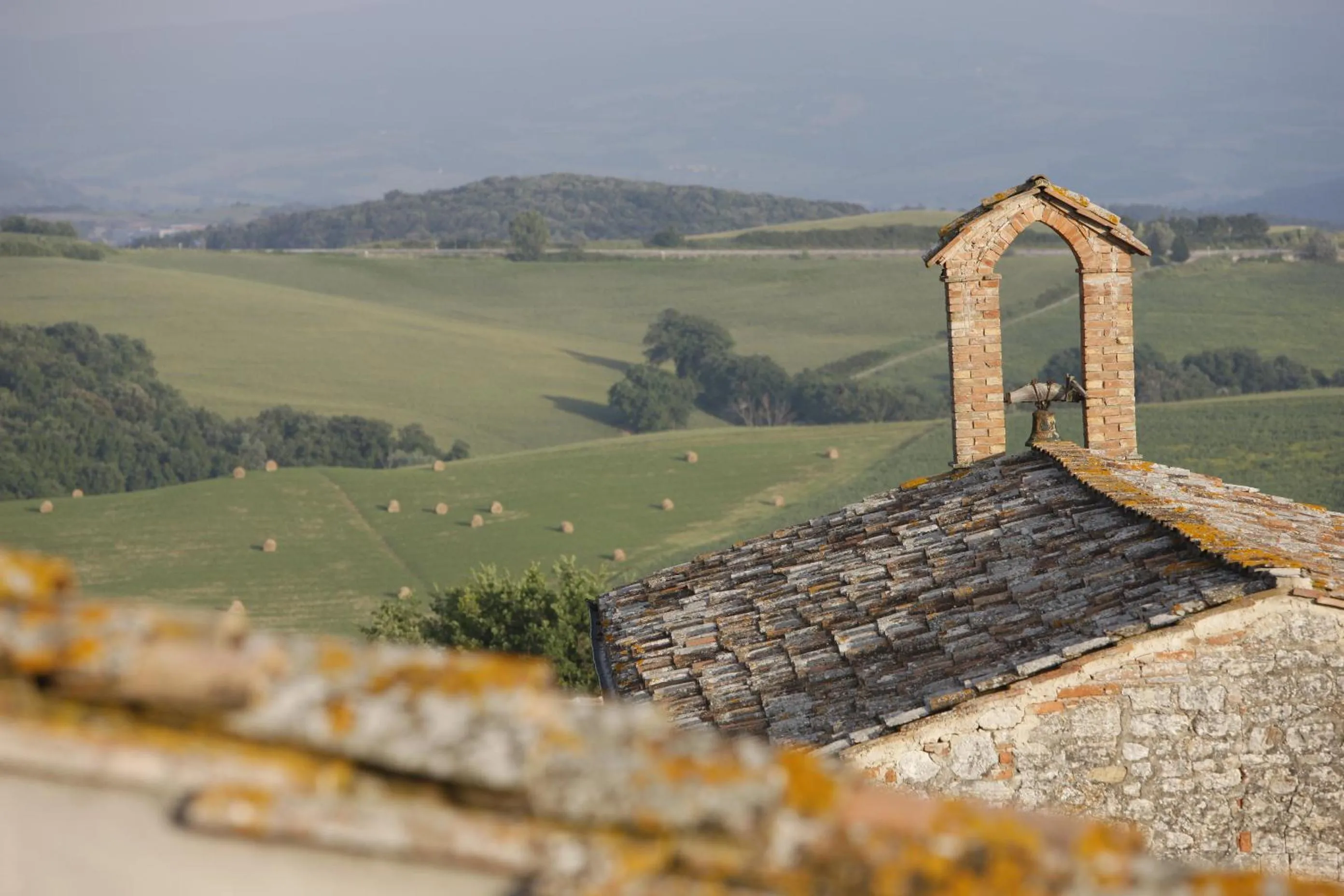 View (from property/room) in Borgo Pignano Tuscany