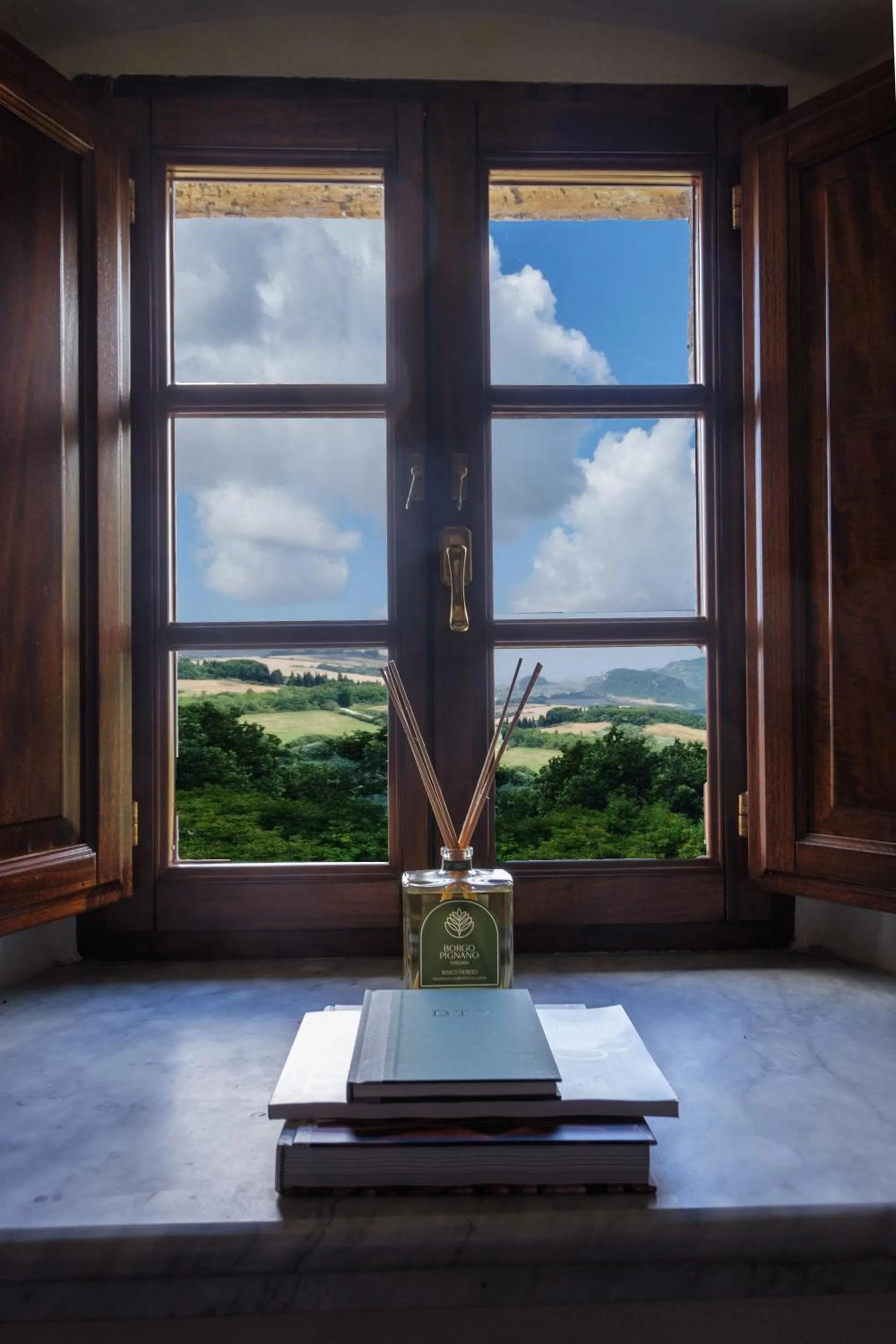 View (from property/room) in Borgo Pignano Tuscany