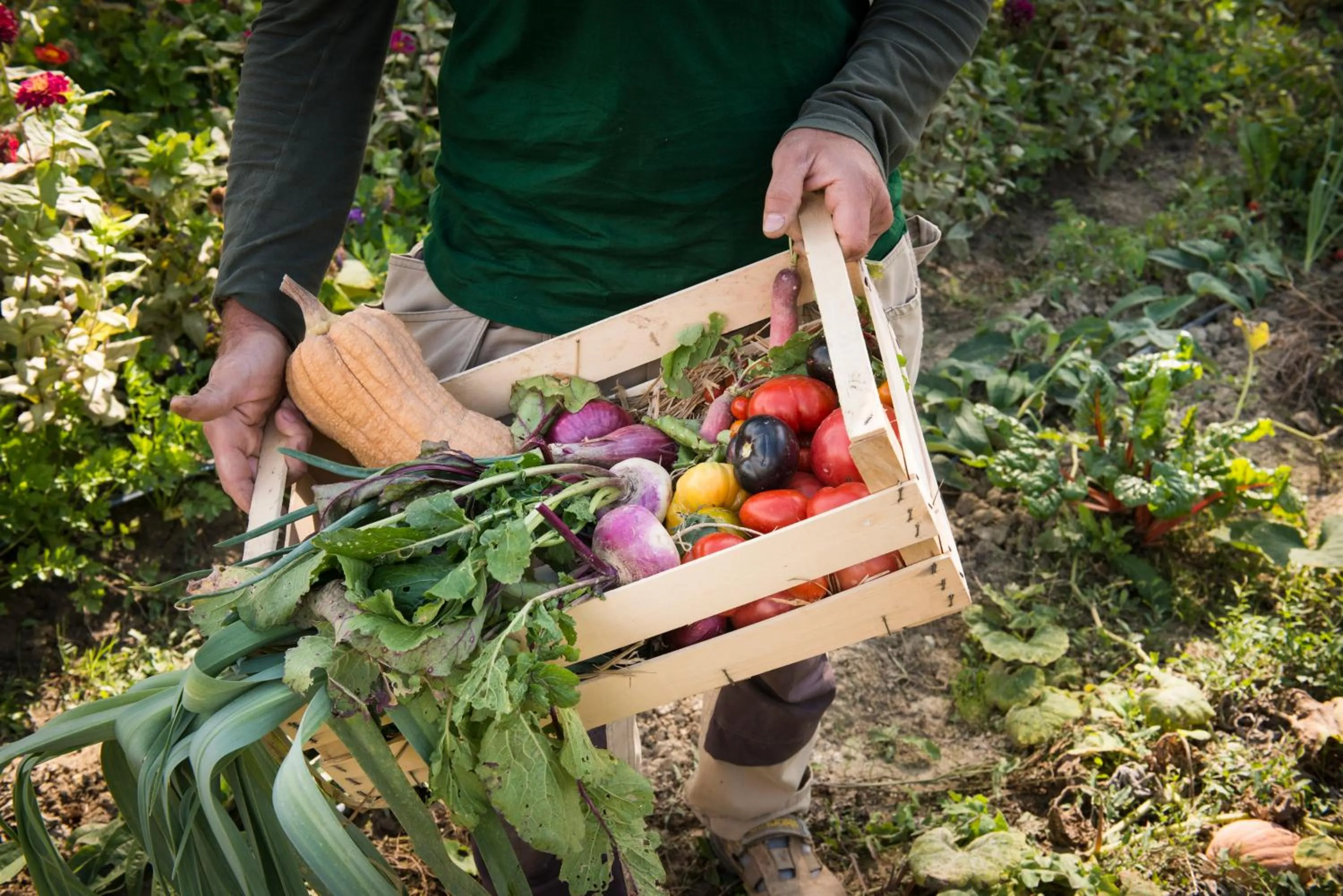 Day in Borgo Pignano Tuscany