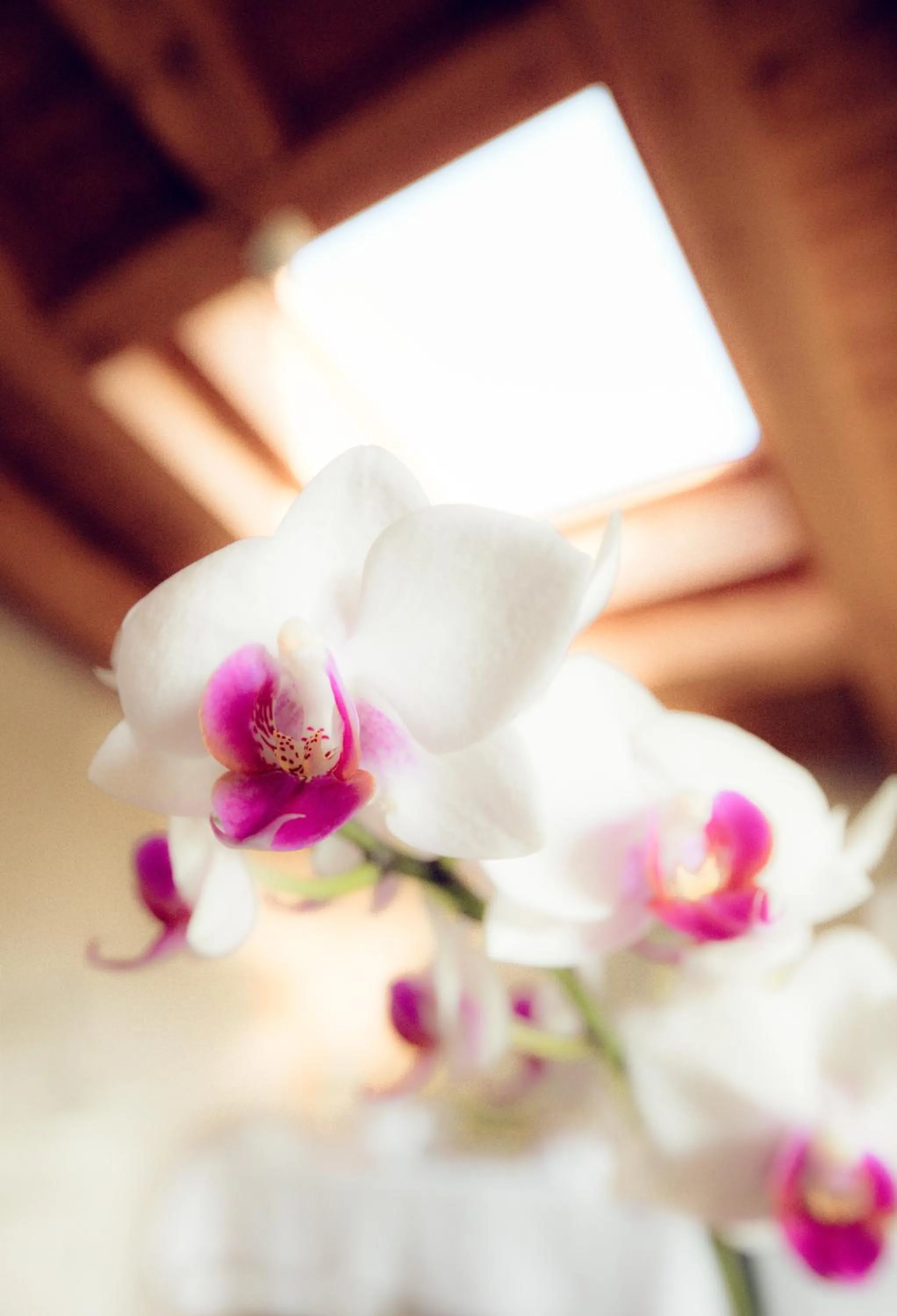 Decorative detail in Quercia Belvedere Relais