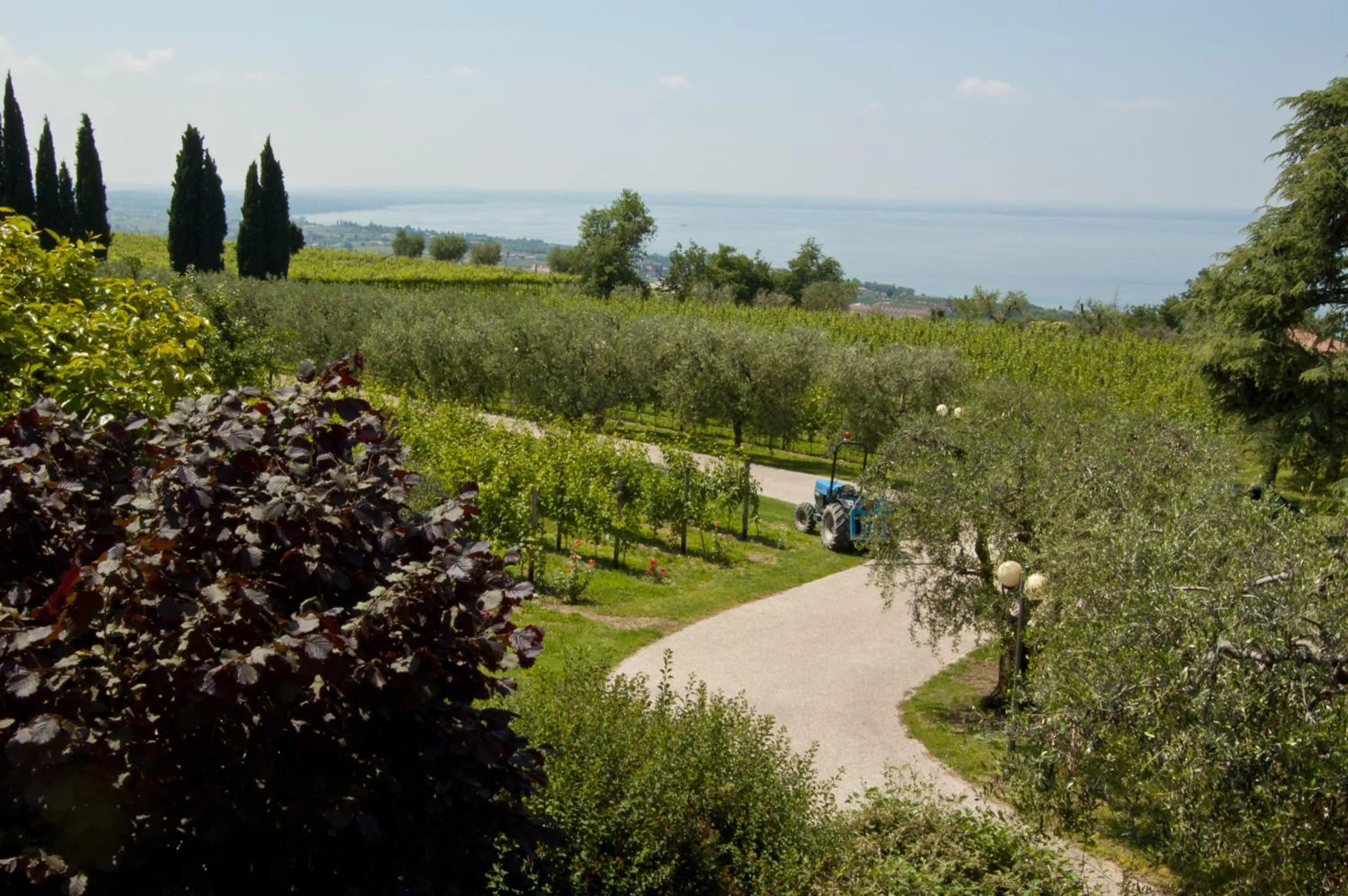 Bird's eye view in Quercia Belvedere Relais