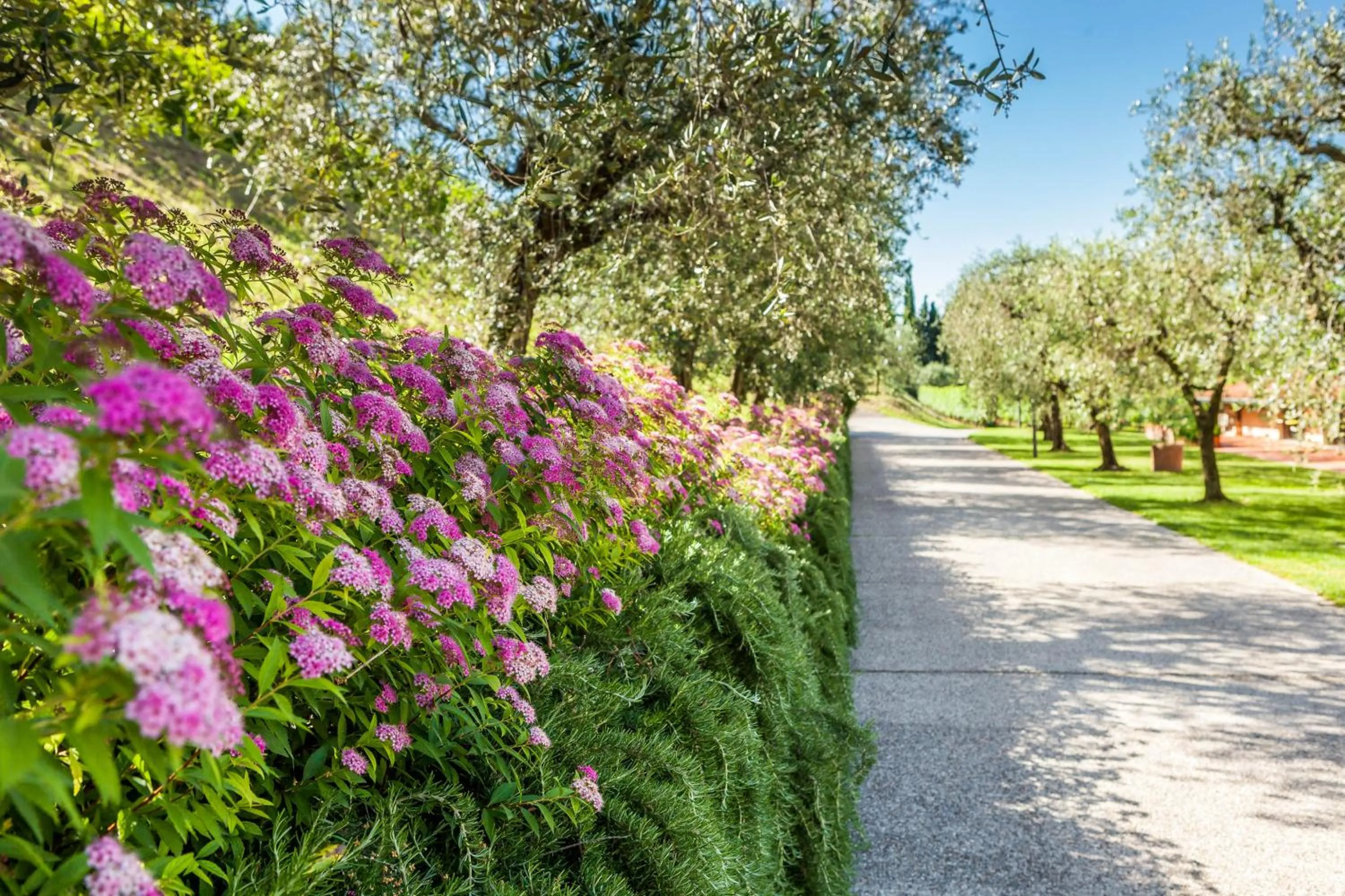 Day in Quercia Belvedere Relais