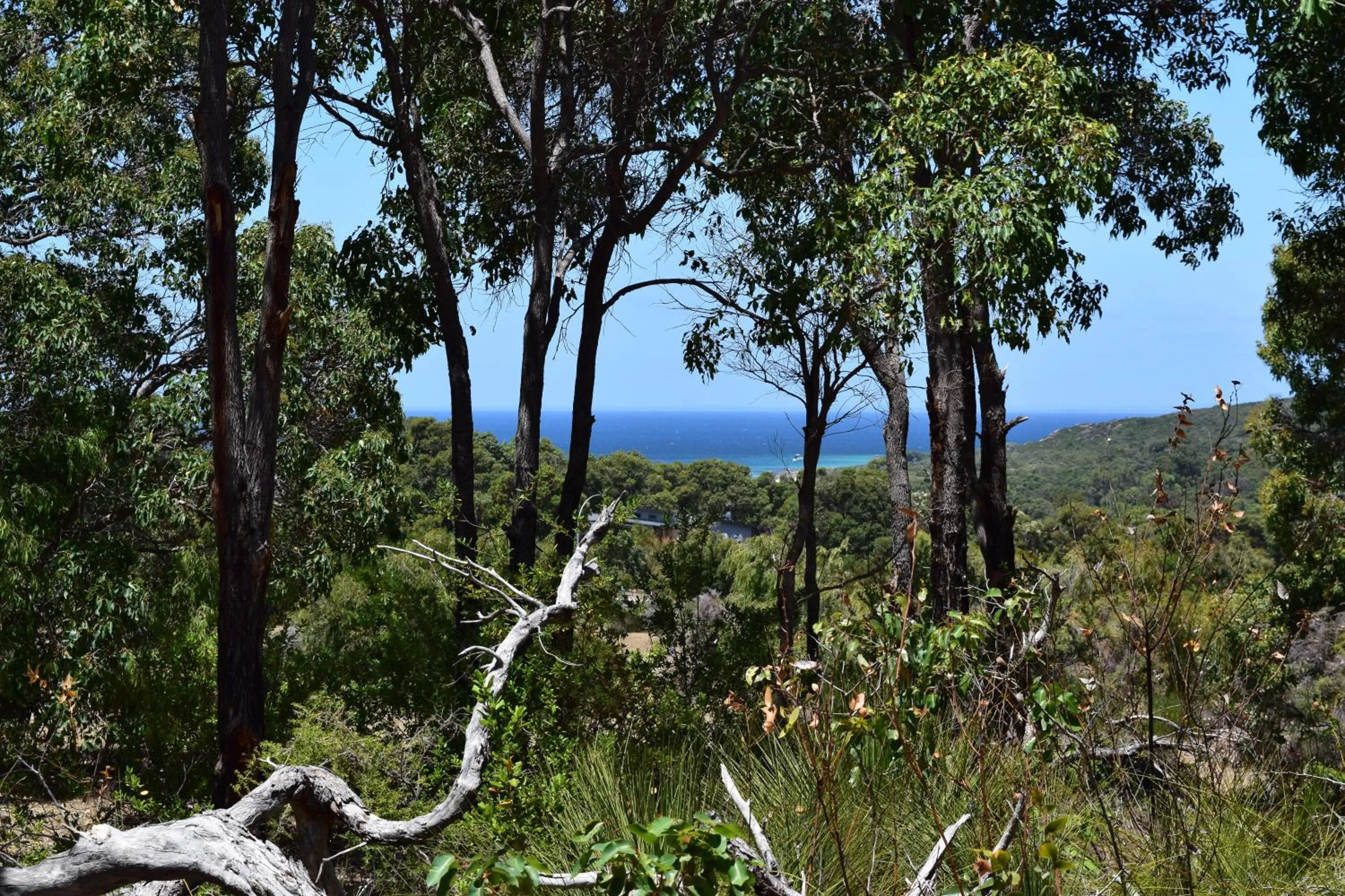 Sea view in Eagle Bay House